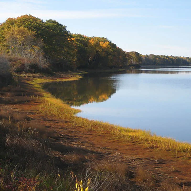 Onion Foundation 2019 Grants — Onion Foundation