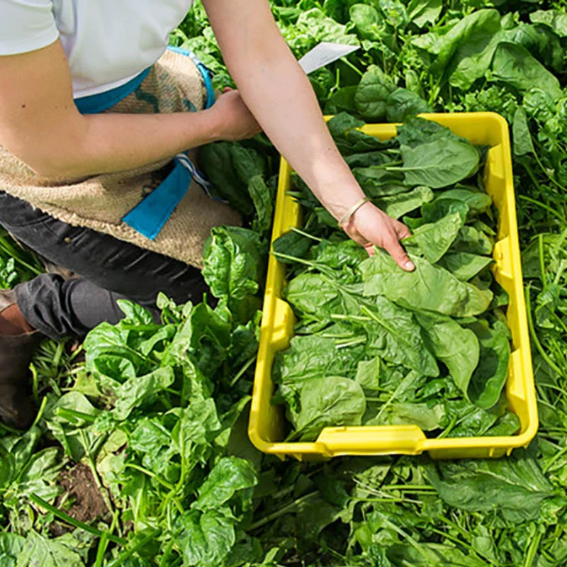 Maine Farmland Trust, $10,000