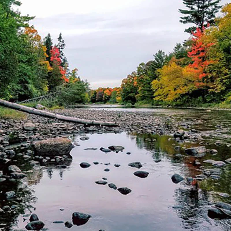 Natural Resources Council of Maine, $10,000
