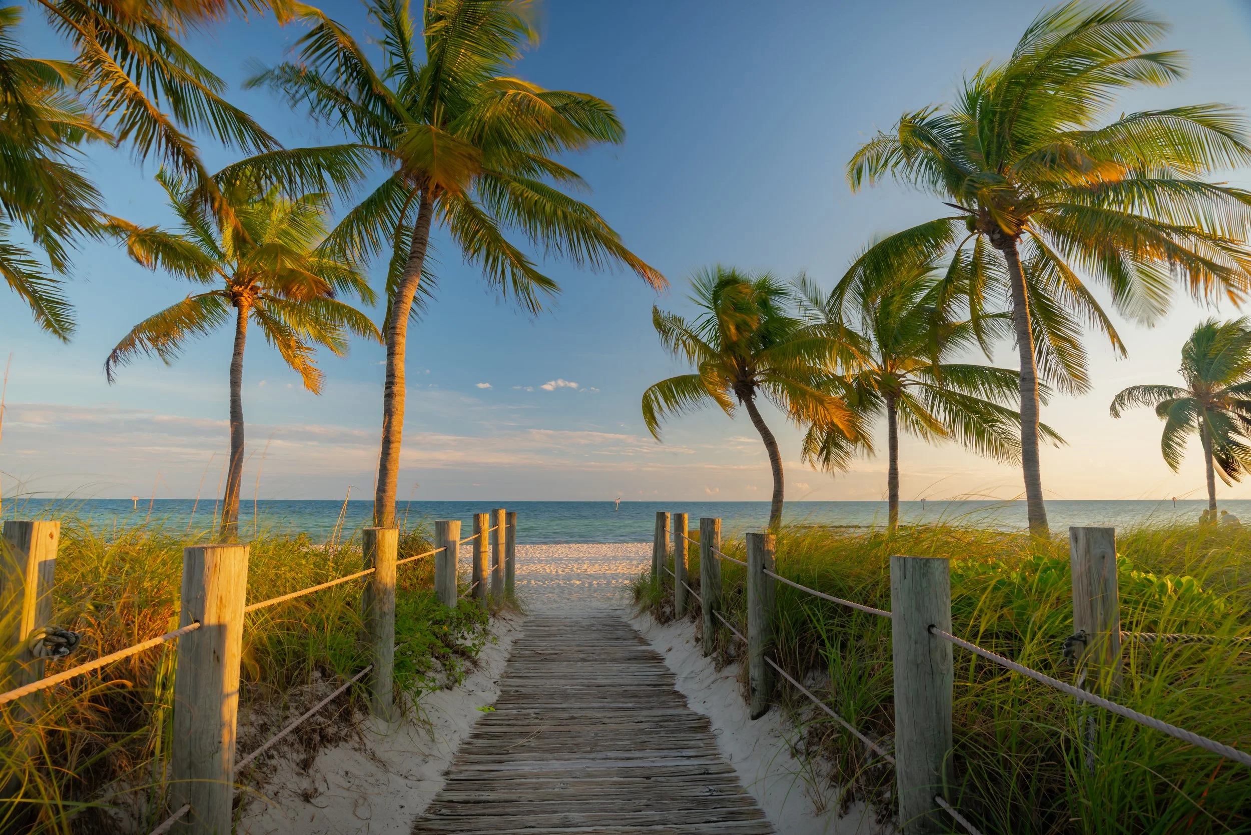 Florida-Florida Keys-Key West-Smathers Beach-palm trees-path.jpg