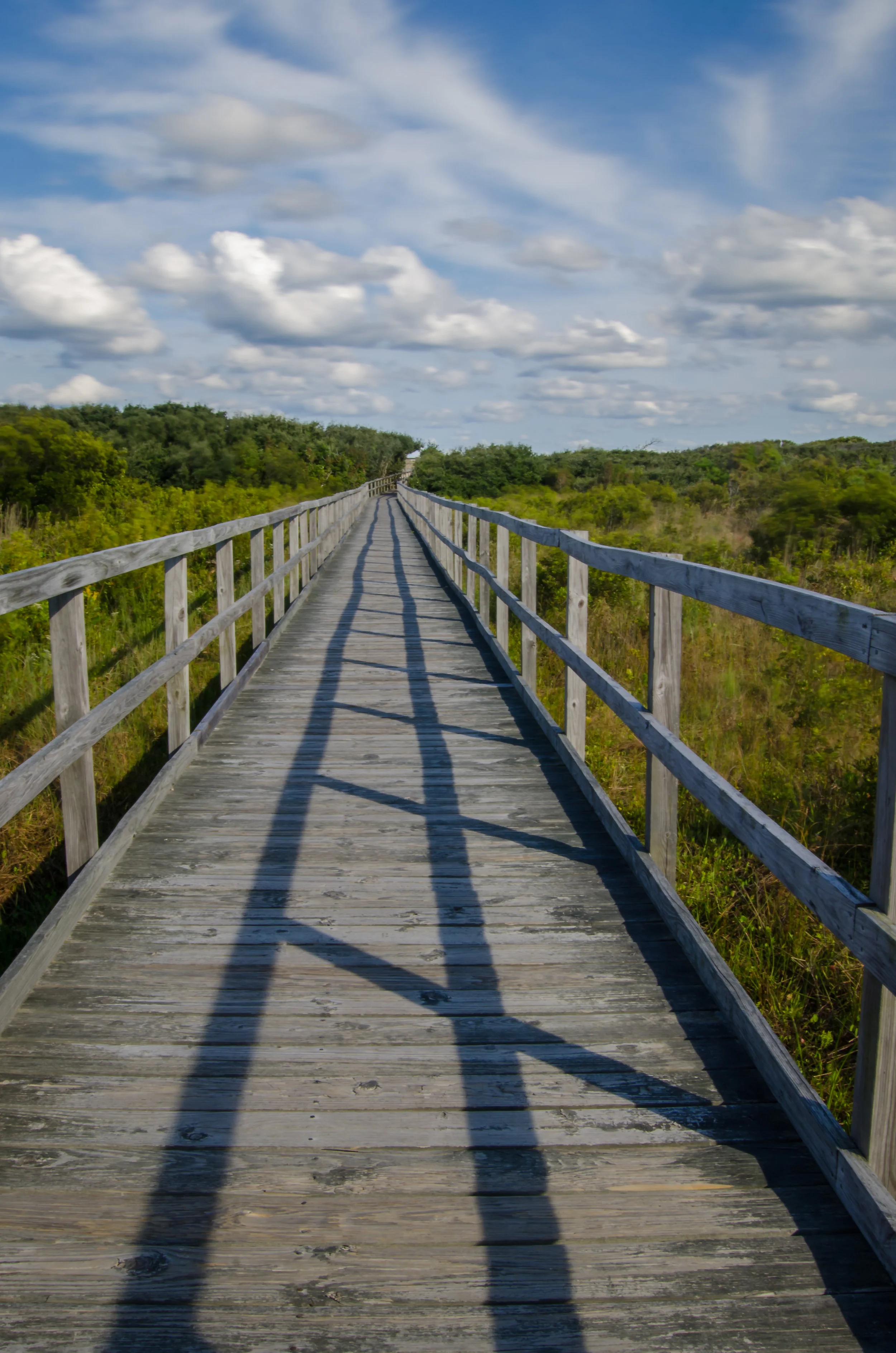 beach-boardwalk-path-dunes-Virginia Beach-Virginia.jpg