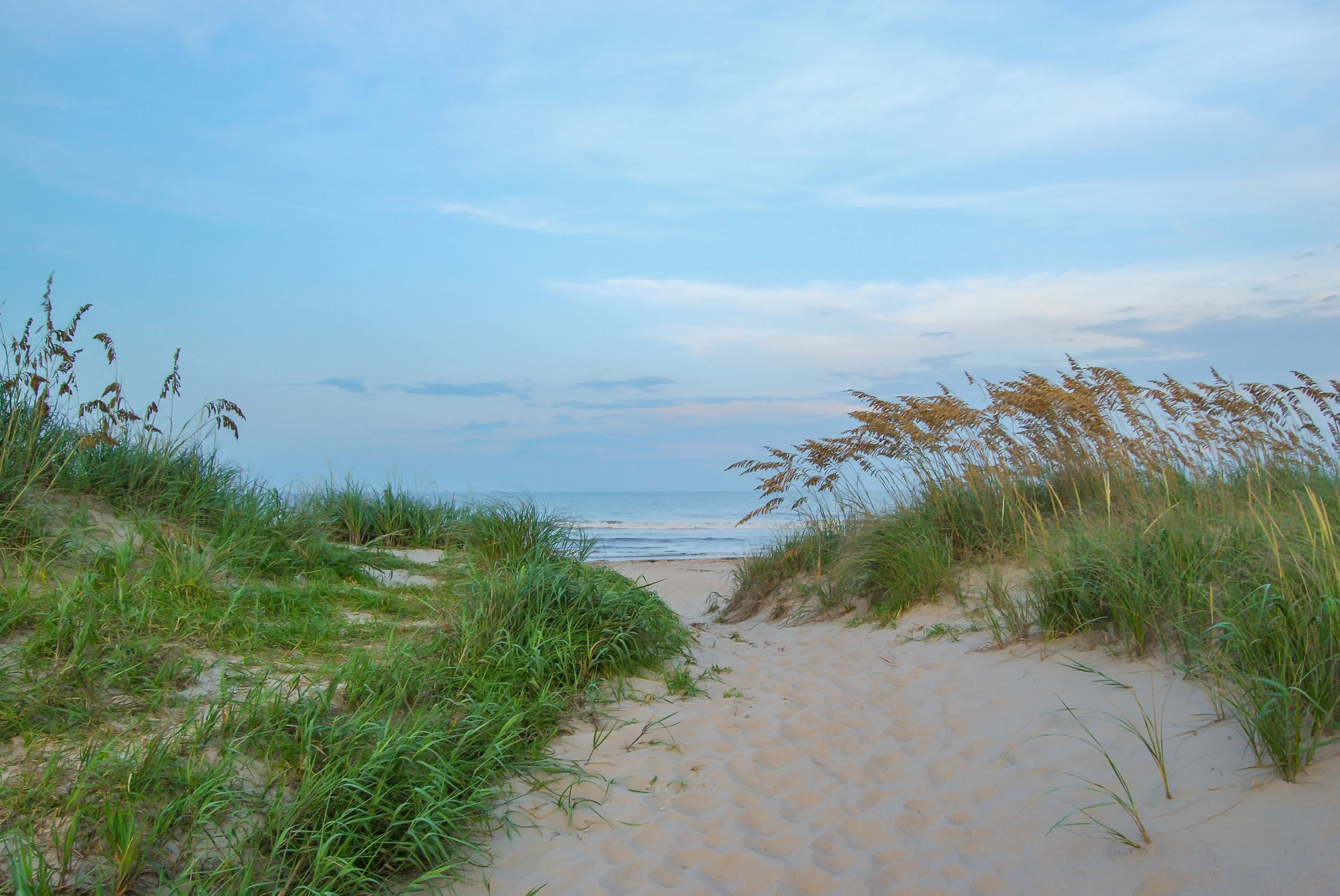 beach-path-sand+dune-sea+oats-Virginia+Beach-Virginia.jpg