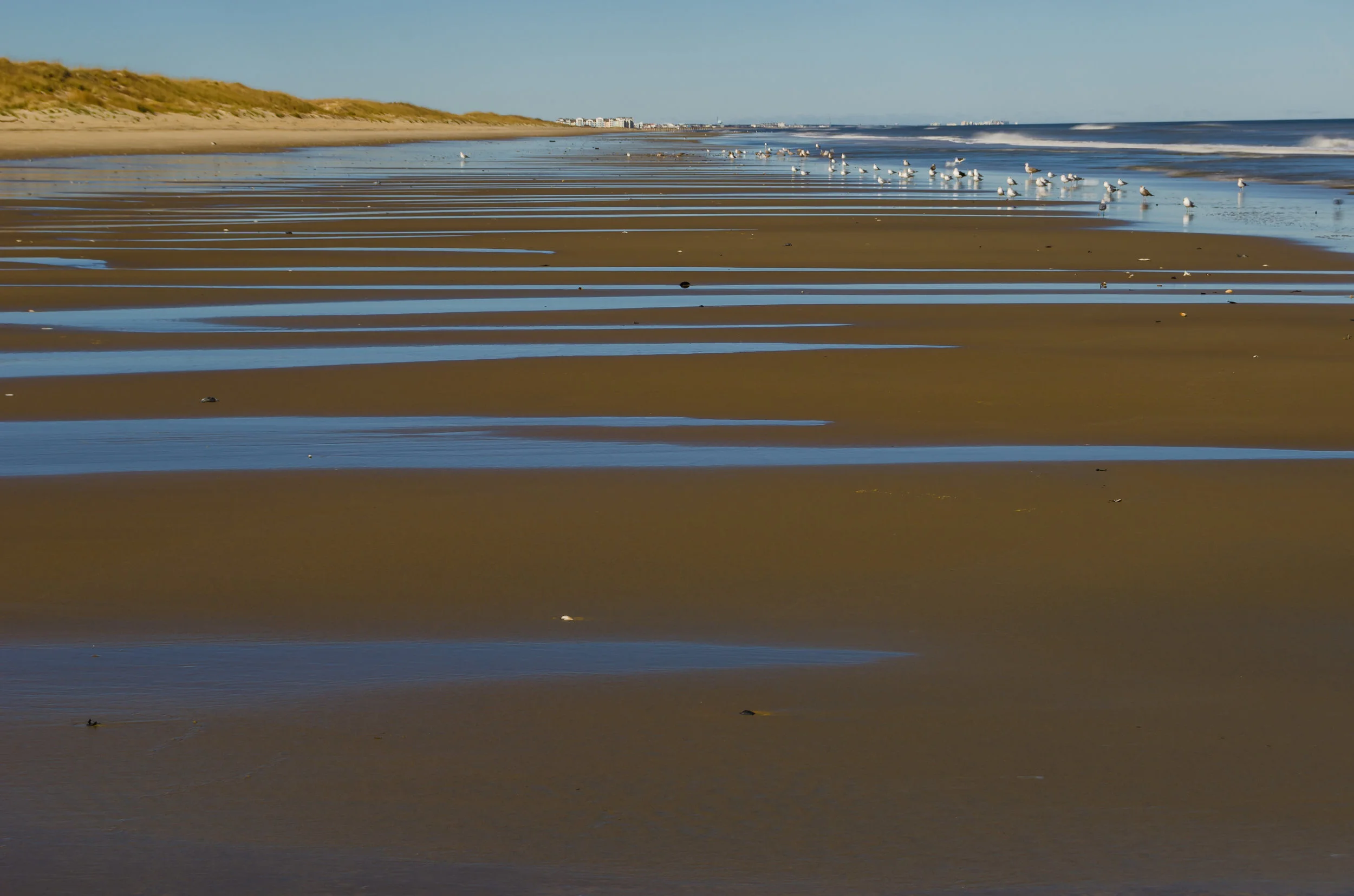 low tide-Virginia Beach-Virginia-False Cape-beach.jpg