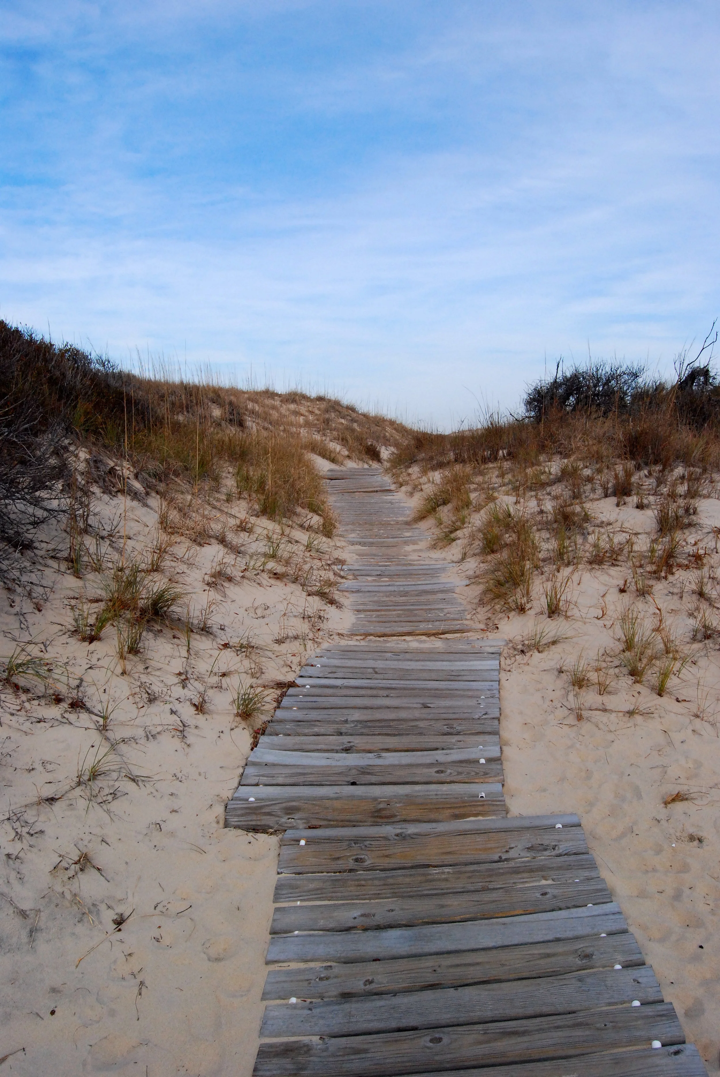 boardwalk-path-dunes-Back Bay-Virginia Beach-Virginia-beach.jpg