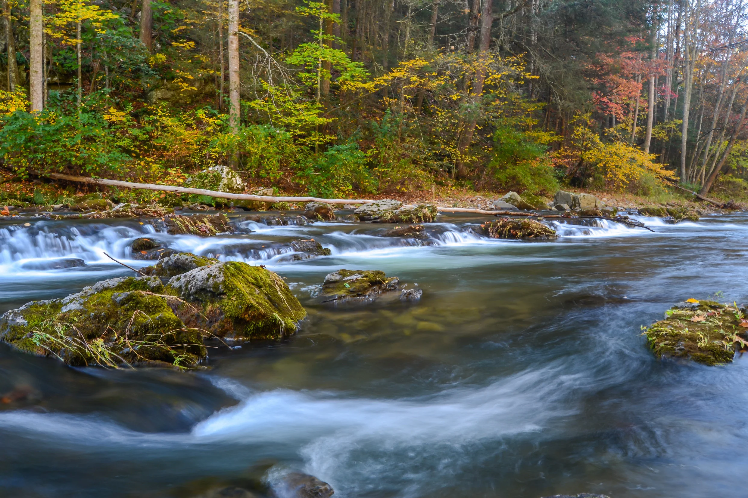 autumn-fall-creek-Highland+County-Virginia.jpg
