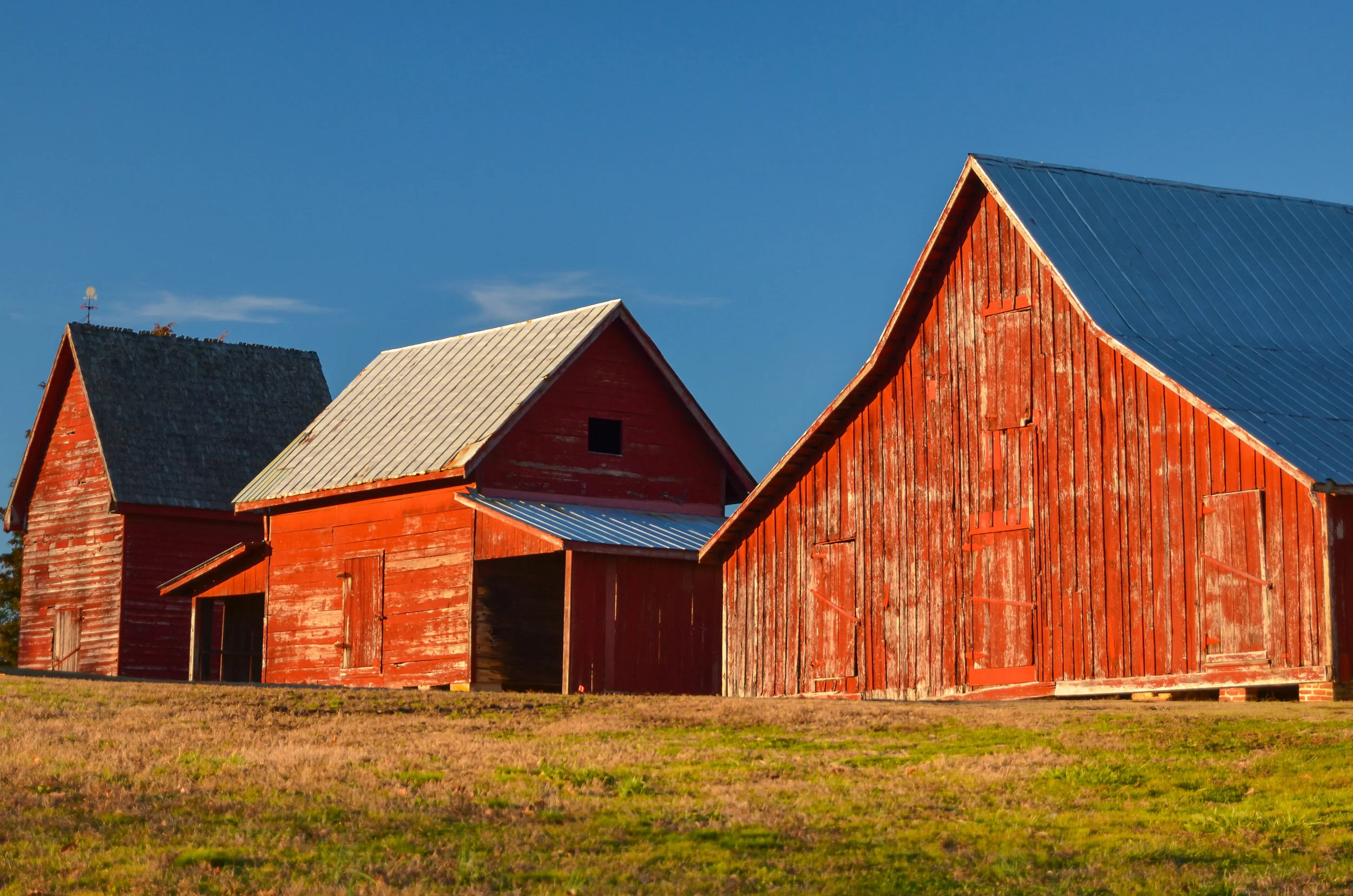 red barns-smithfield-windsor castle park-isle of wight county-virginia-2.jpg