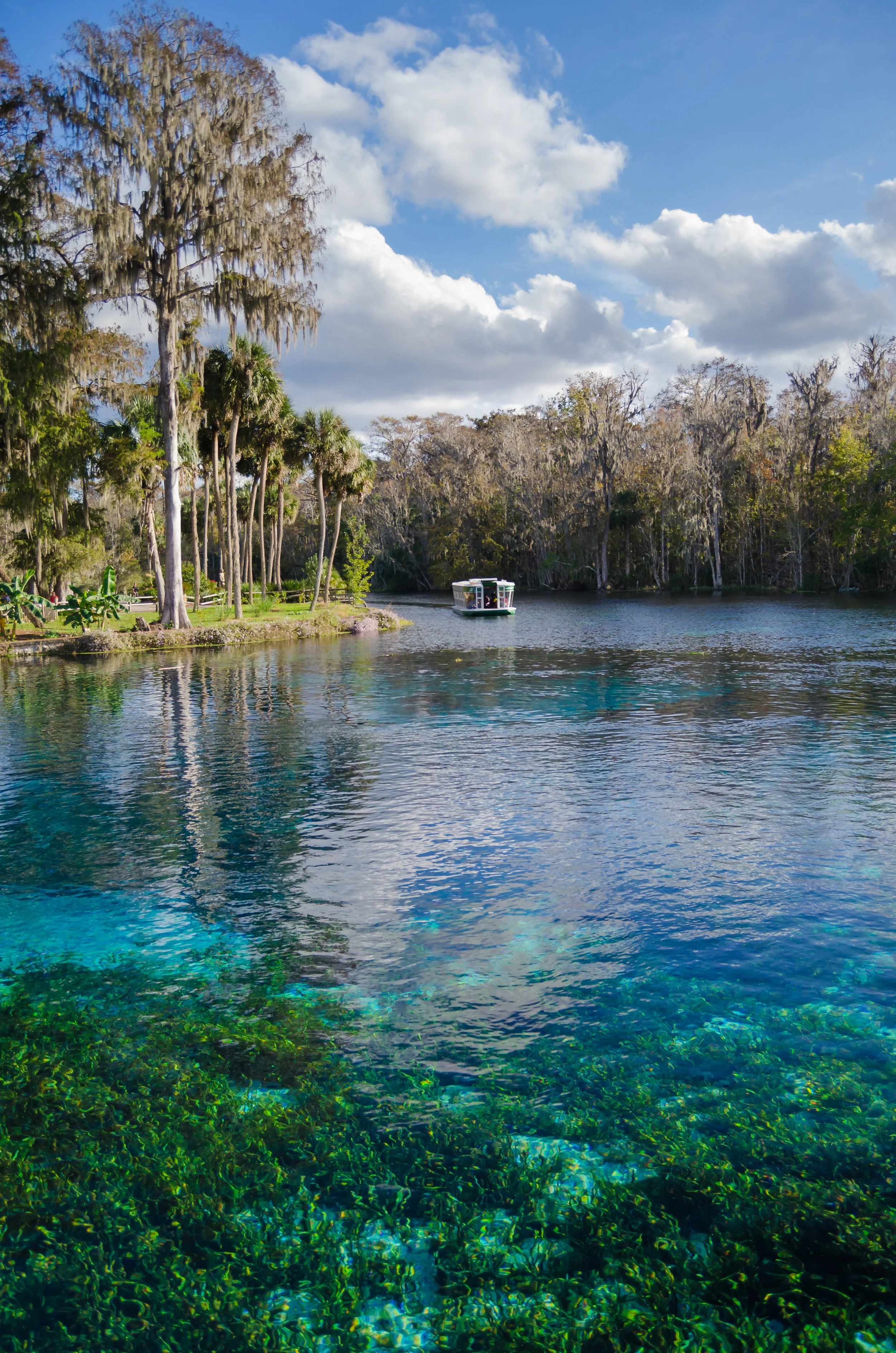 spring-siliver springs-ocala-florida.jpg