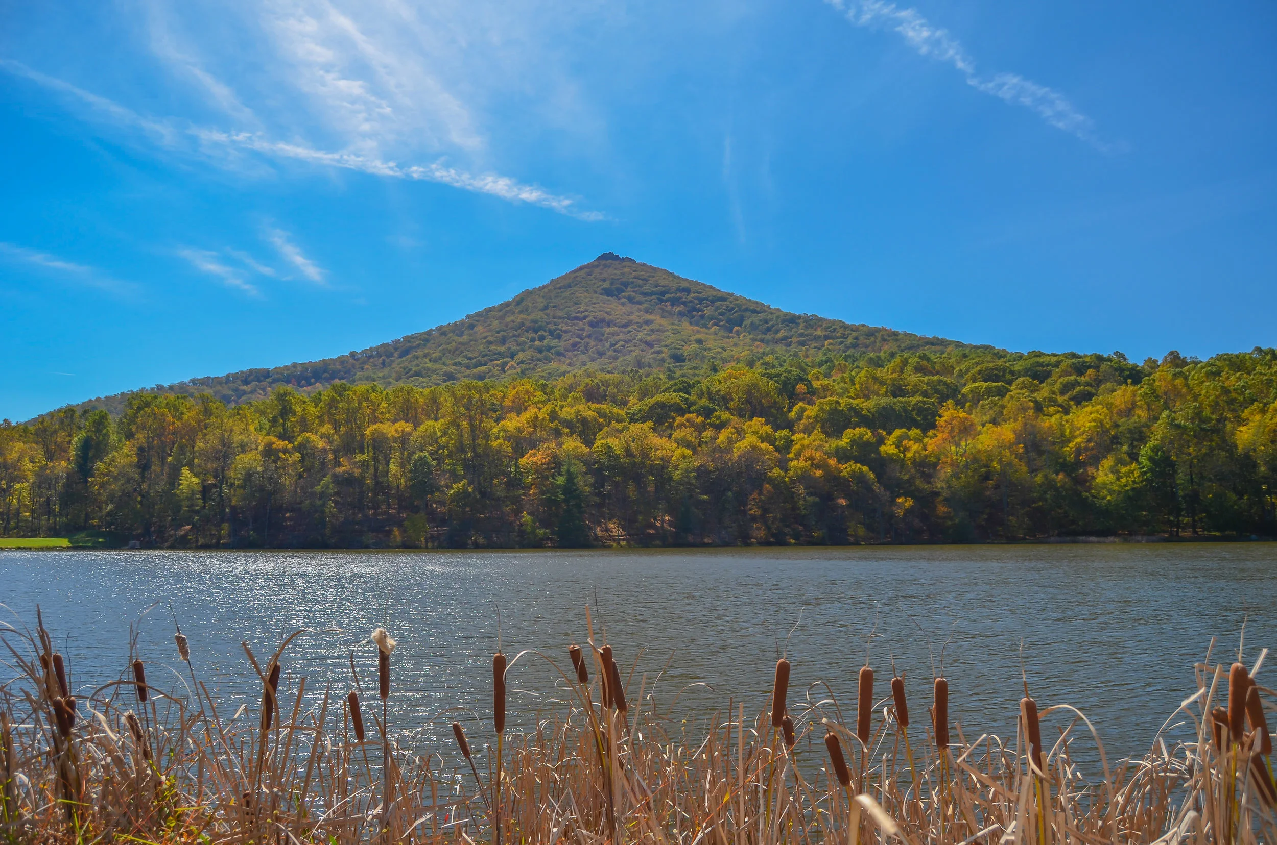 Sharptop Mountain