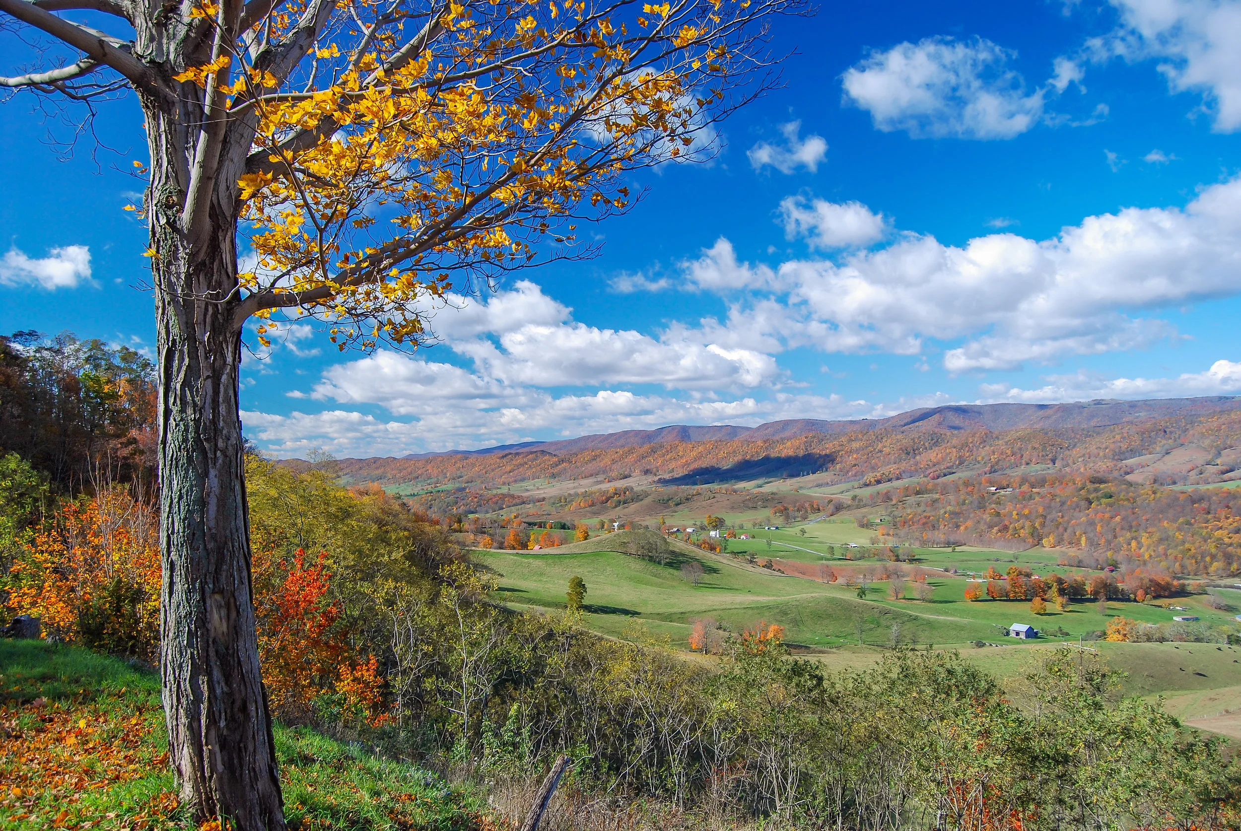 Blue Skies Over The Bluegrass Valley
