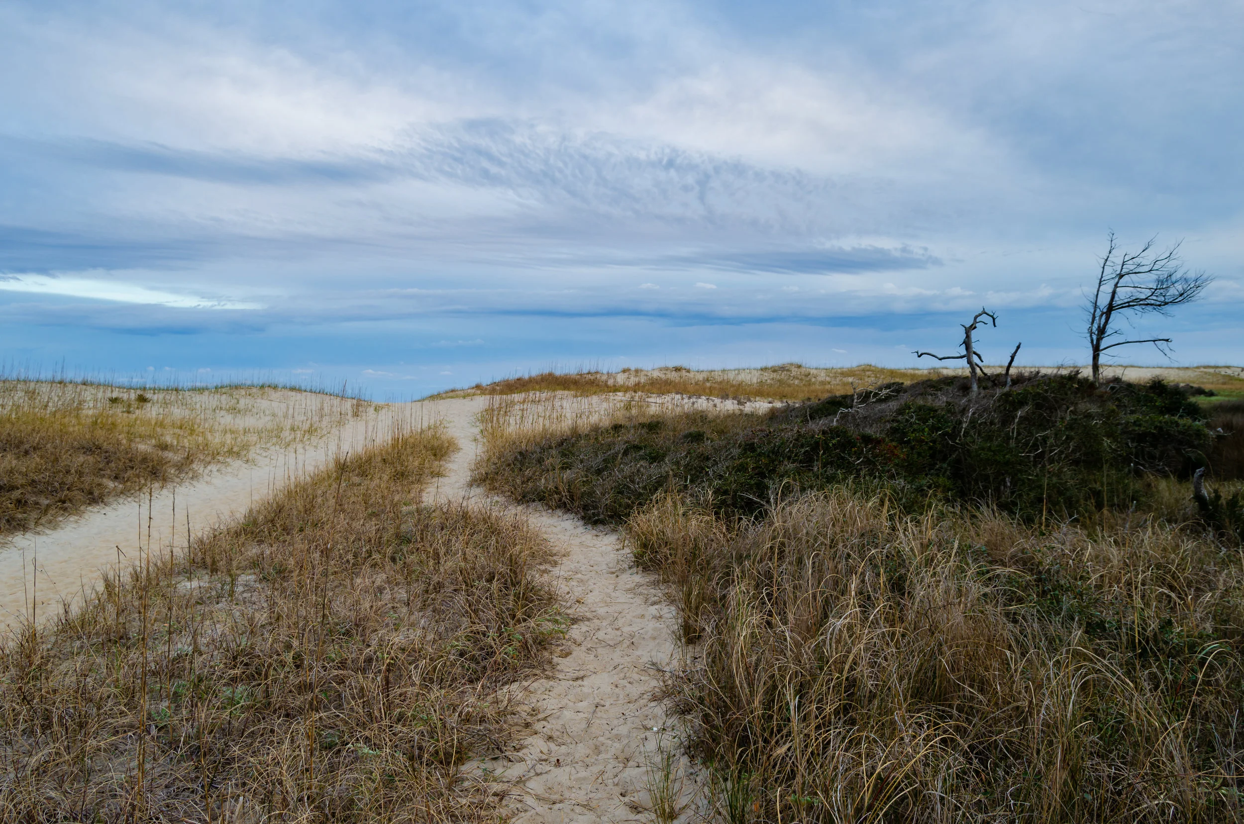 beach path-cape hatteras-obx-outer banks-north carolina.jpg