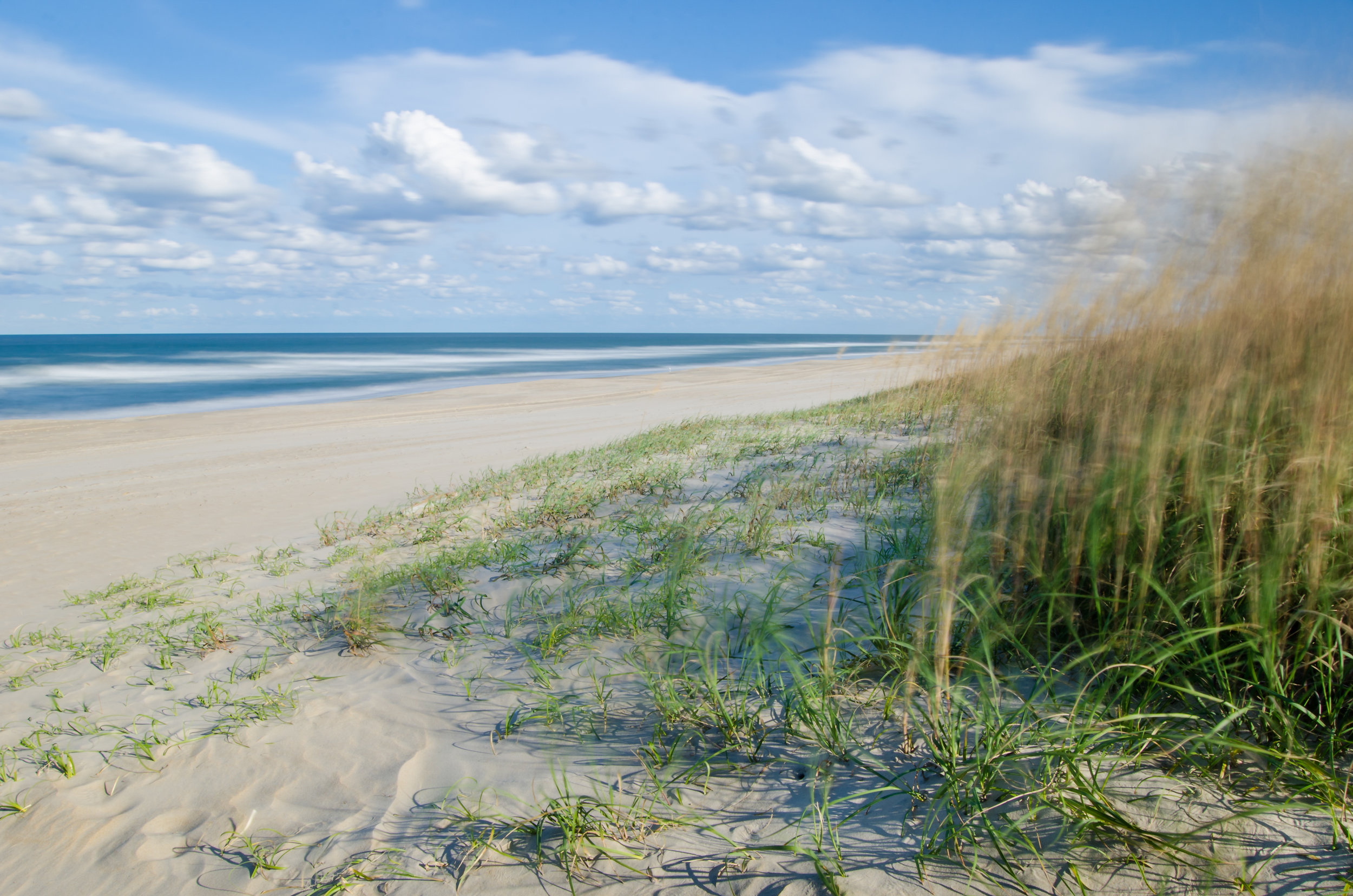 Sea Breeze