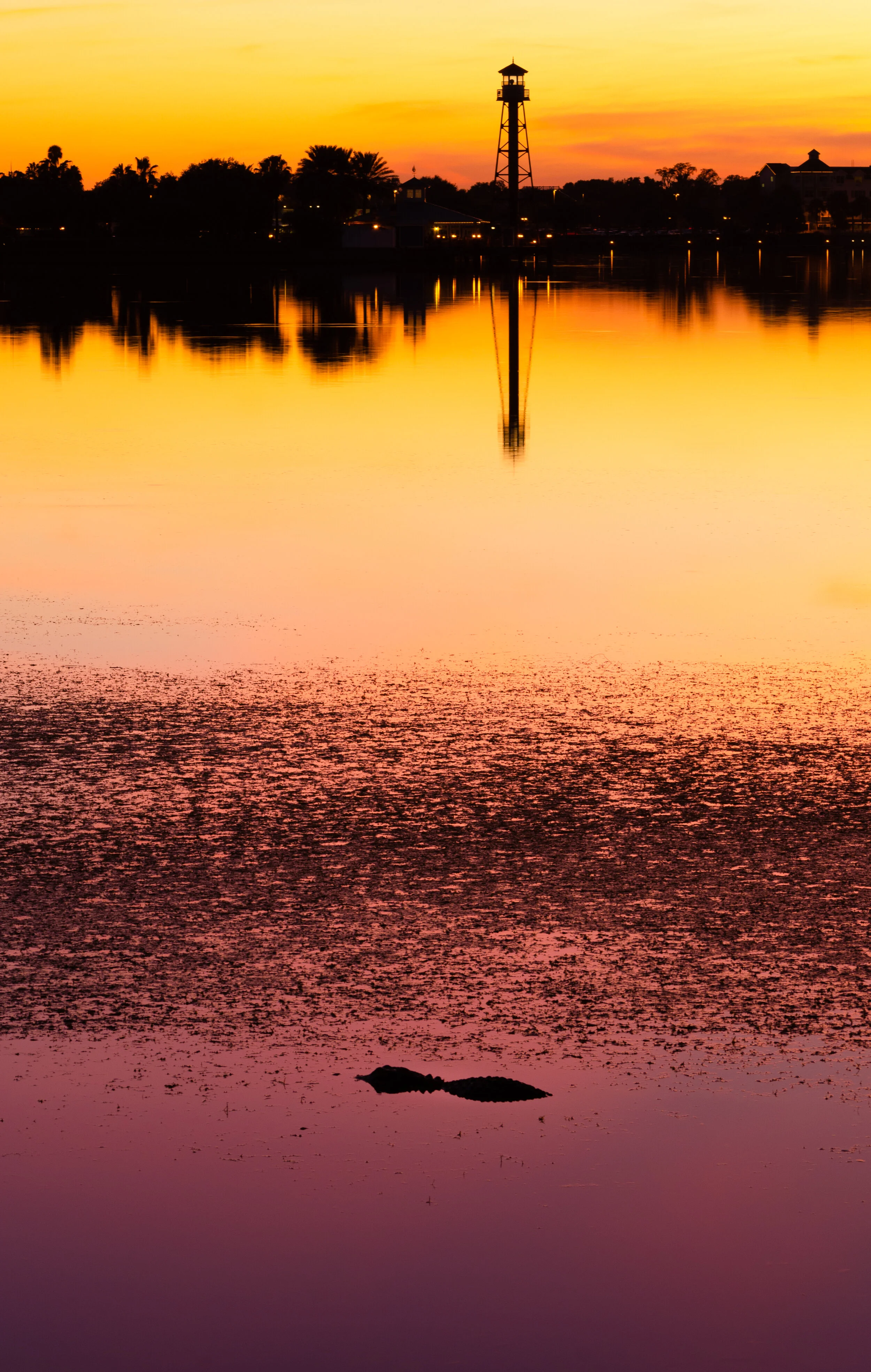 Florida Sunset
