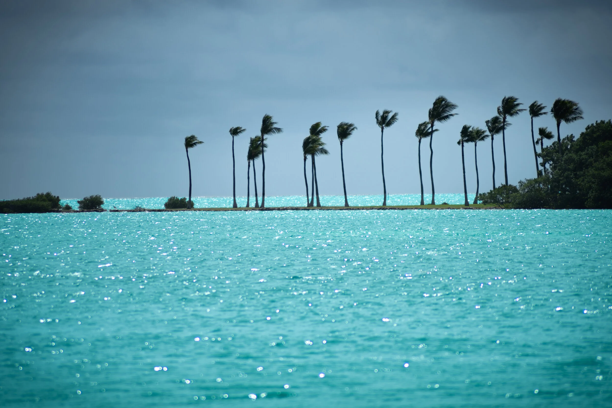 Paradise in the Upper Keys