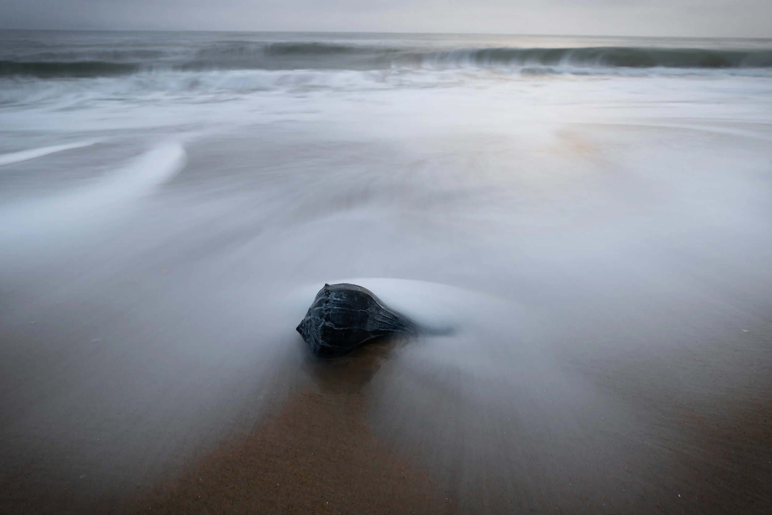 Cast Ashore