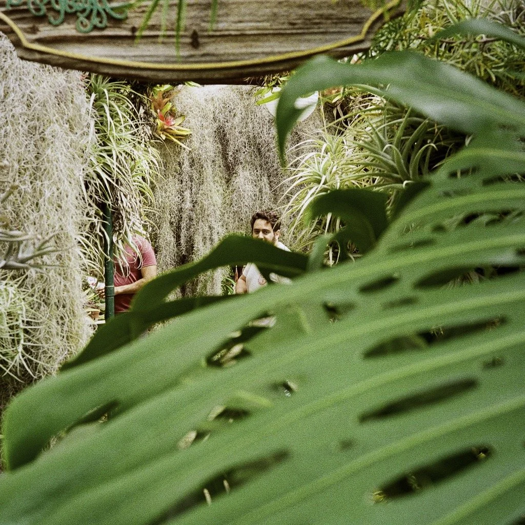 Avi through leaves.jpeg