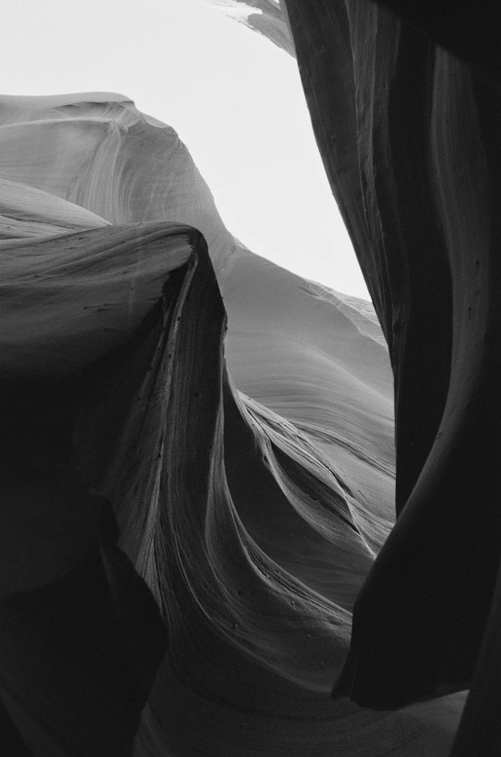 Canyon B&W.jpeg