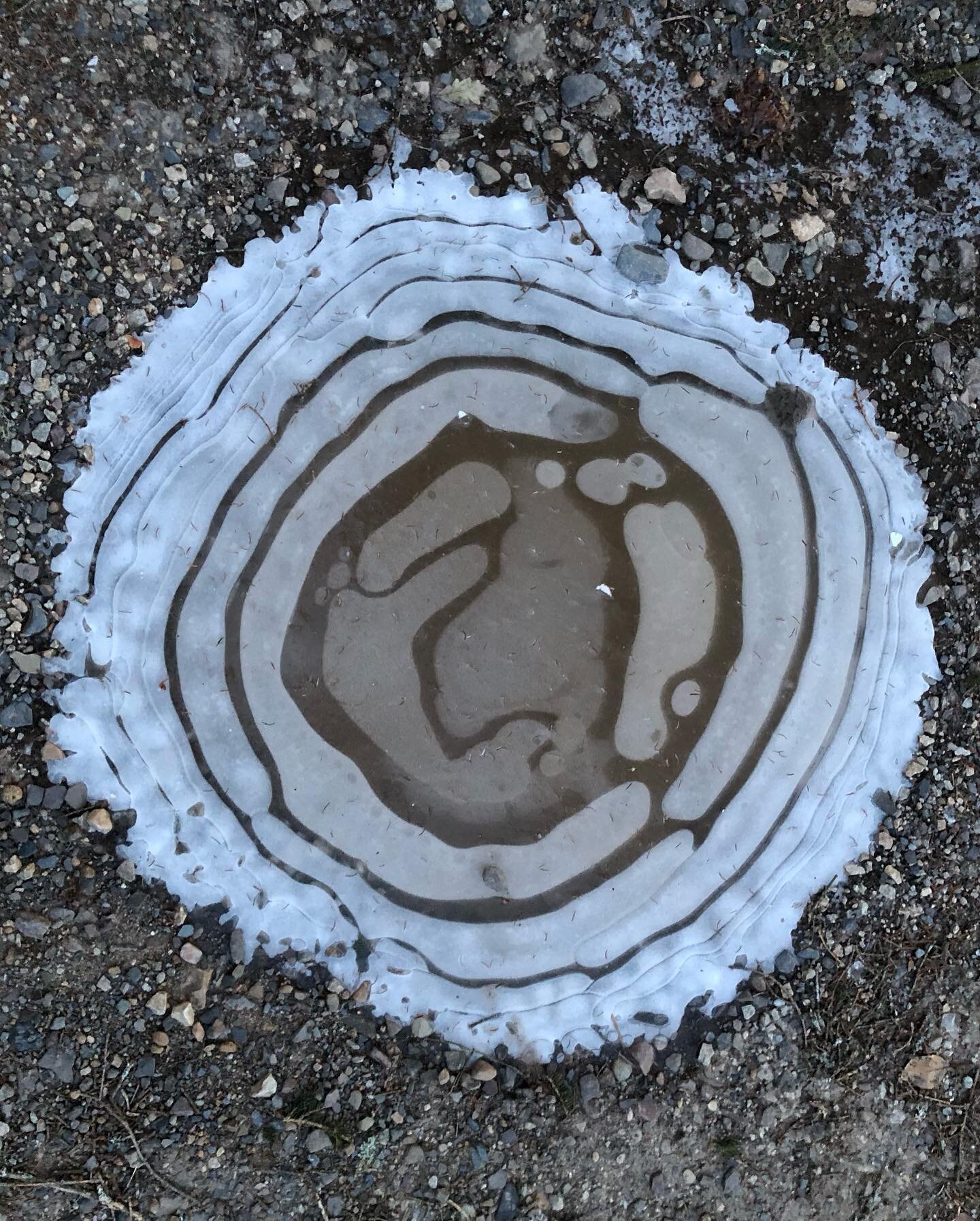 Time for another reminder that art is everywhere&hellip;these are simply frozen, muddy puddles in lovely driveway potholes. And for all you cell geeks out there, do these not remind you of a Golgi apparatus?!!