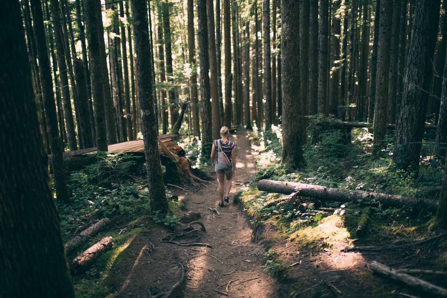 hiking.jpeg