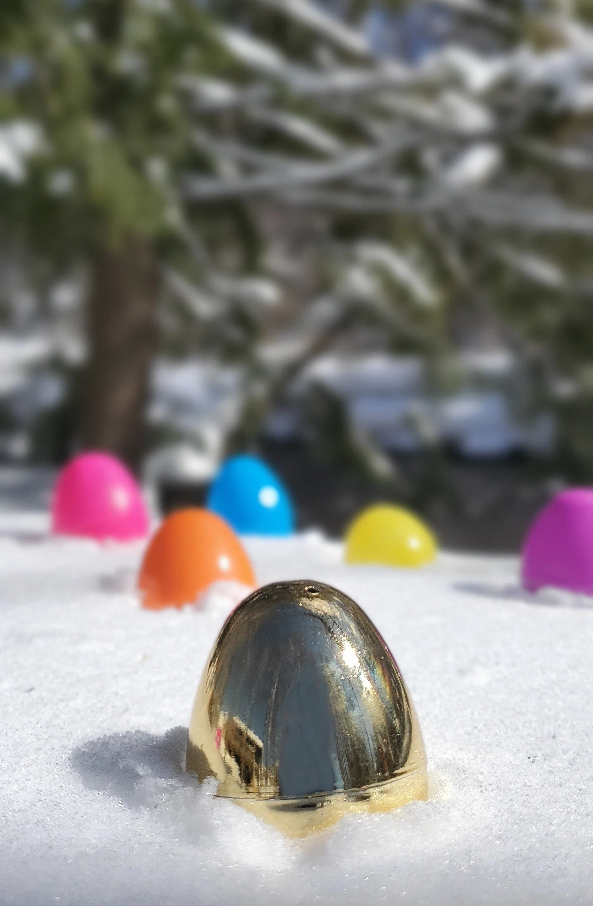 Easter Promo.jpg