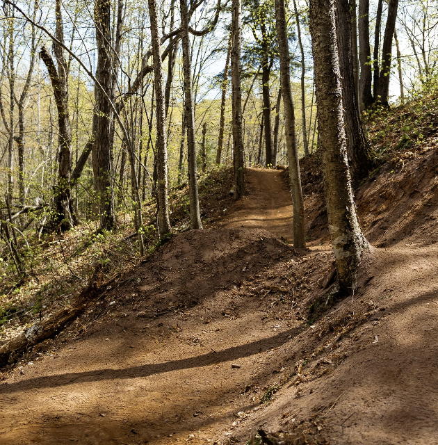 NTN Bike Trails Through The Woods in Marquette Michigan
