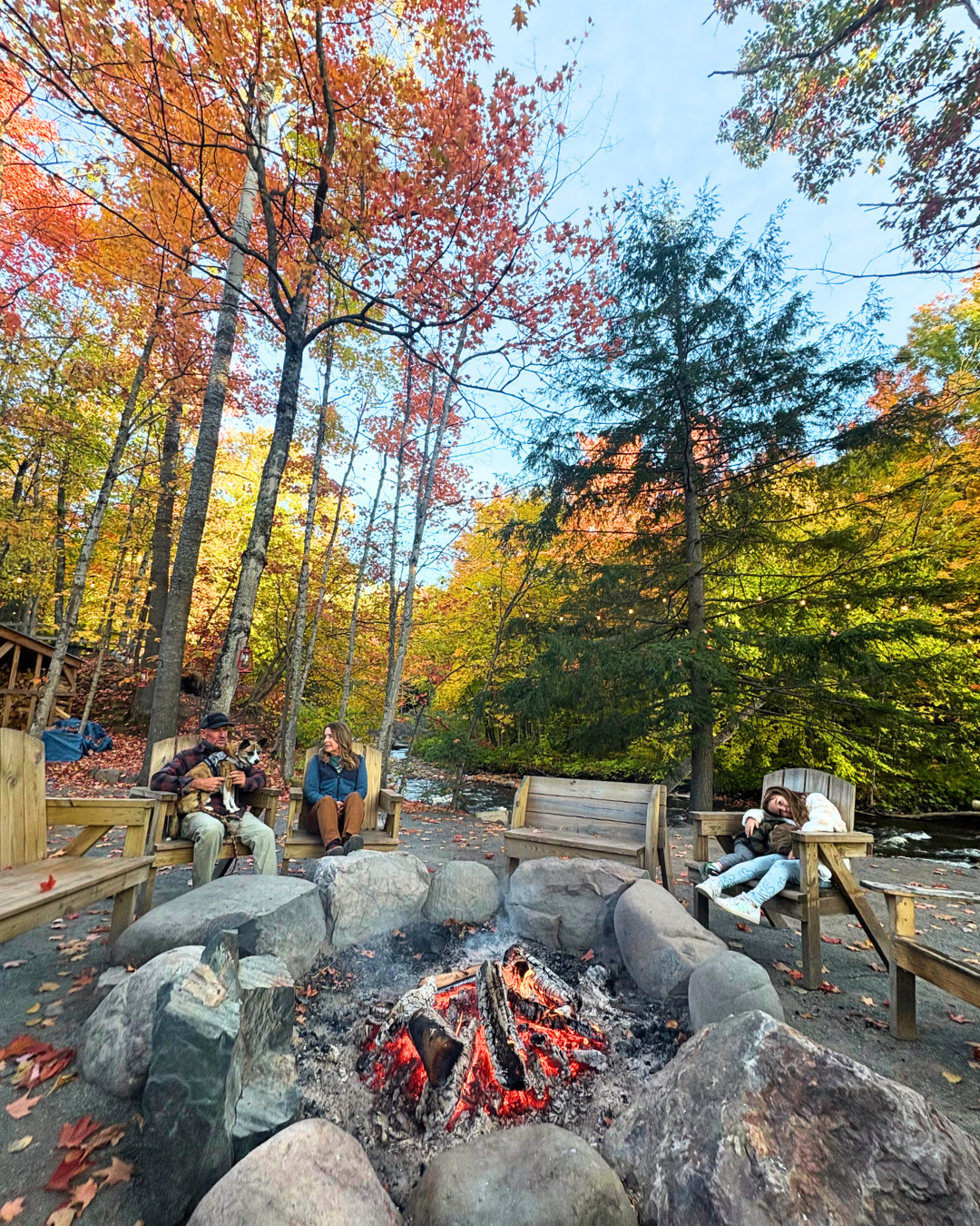 Guests gathering around a campfire surrounded by colorful autumn trees at an outdoor campsite.