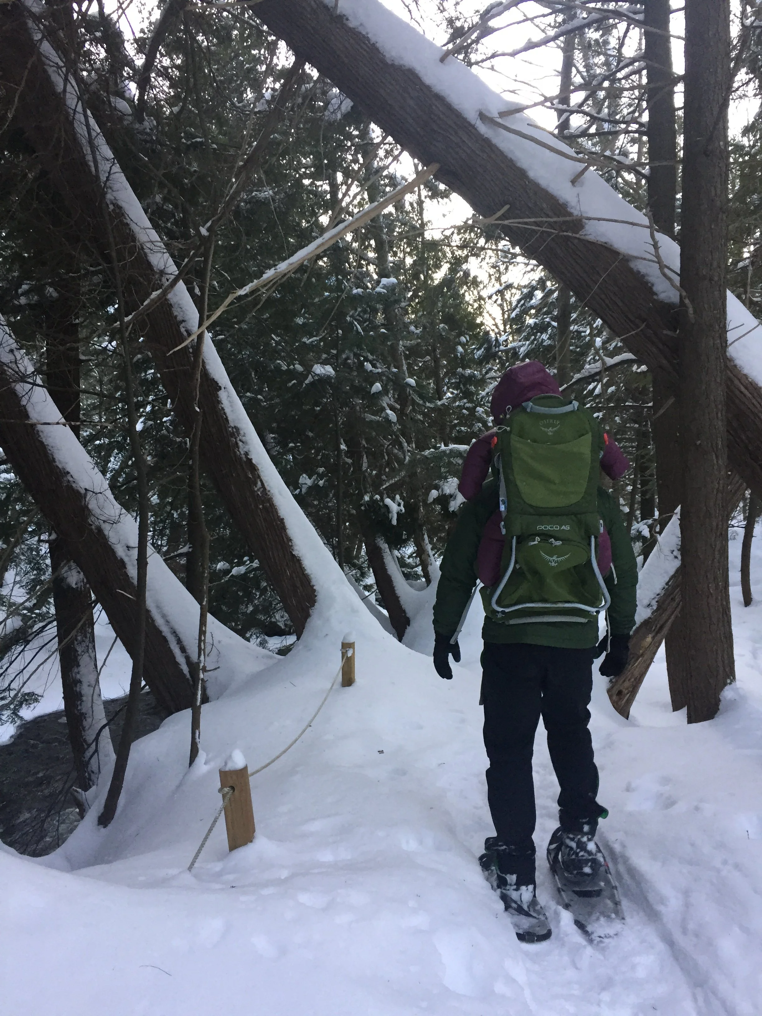 snowshoeing-raging-river-resort-marquette.jpg.JPG