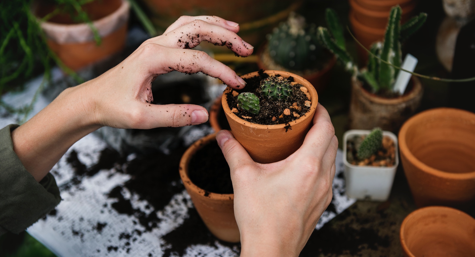 rawpixel-com-463436-unsplash.39f0c536f874472f9db74d6c91f05594.jpg