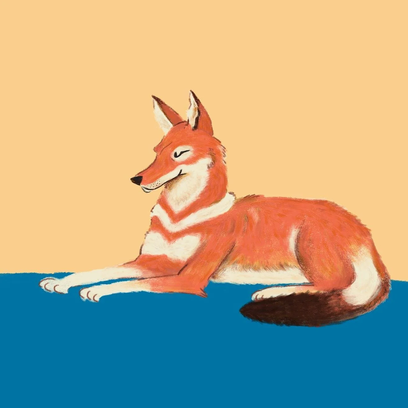 Part III of canid digital series is the Ethiopian Wolf. It is not actually a fox like my others but &ldquo;a wolf in fox clothing&rdquo;. ⁣
⁣
A coupla facts for you ⁣
⁣ - Ethiopian wolves are the rarest &amp; also ⁣most endangered of all canids (less