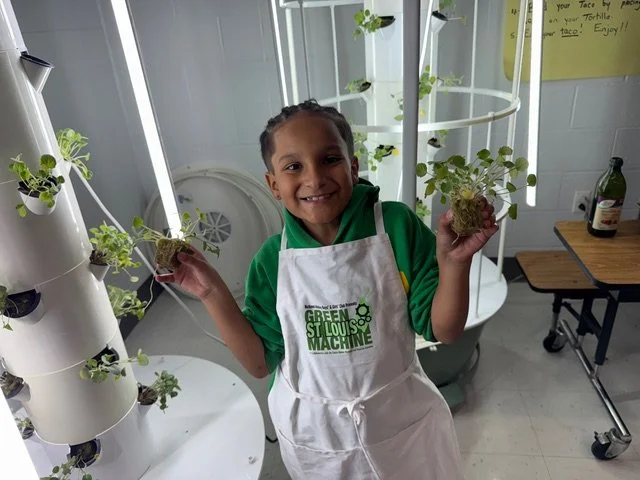 *Green STL Machine Outreach, Capacity & Market VISTA- FT