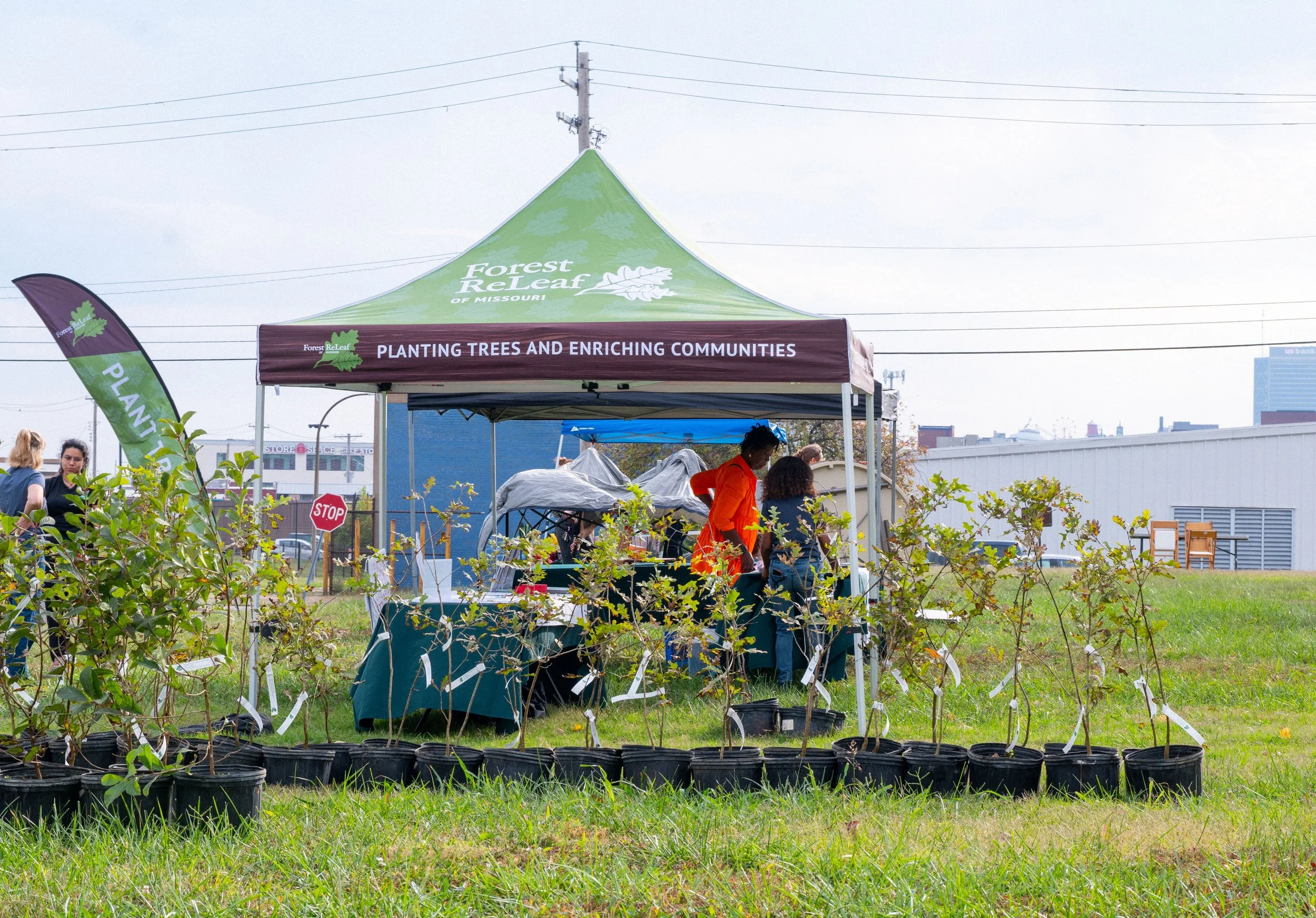 Forest ReLeaf of Missouri - Summer Associate VISTA