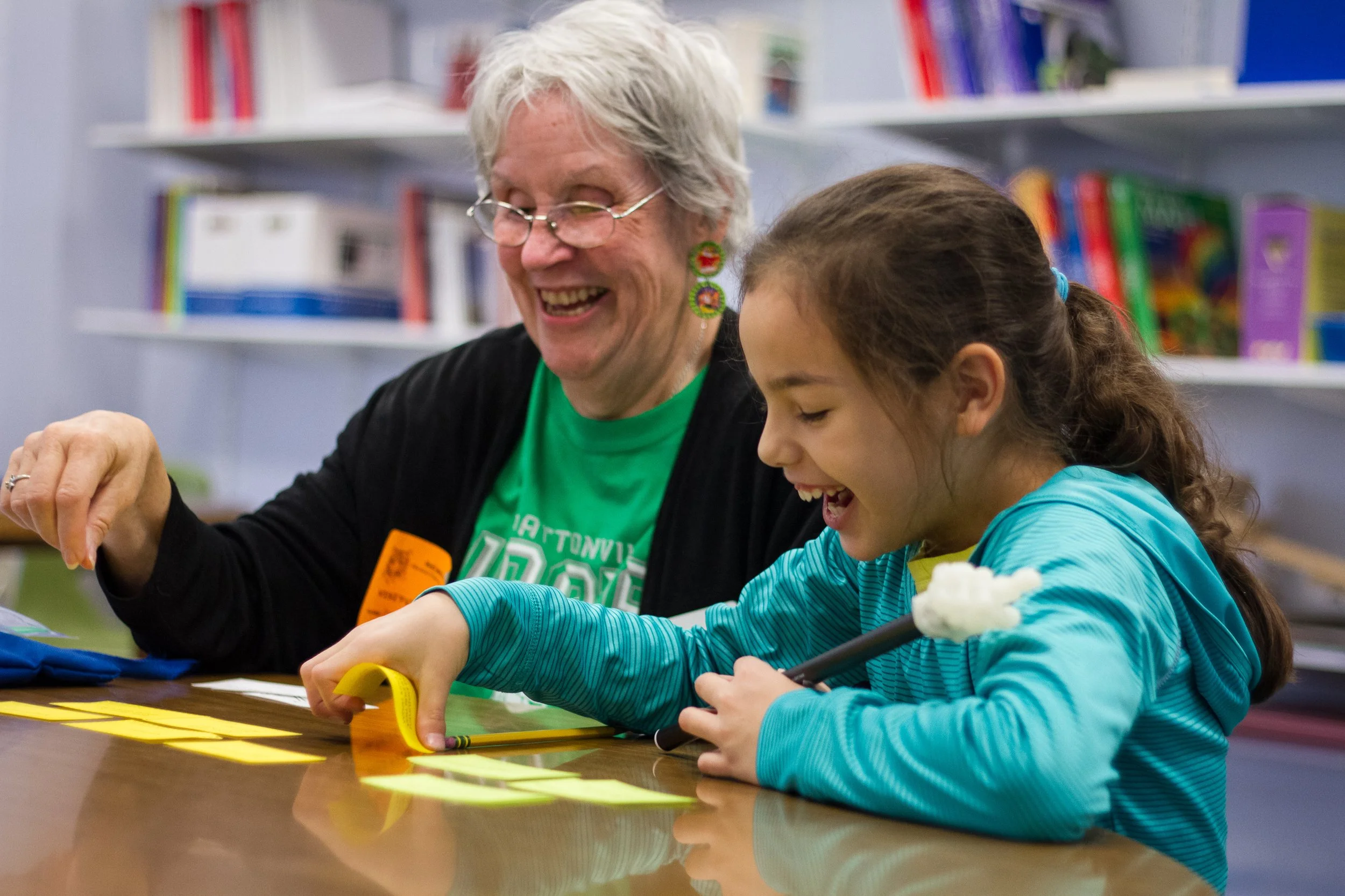 St. Louis Oasis - Summer Associate VISTA