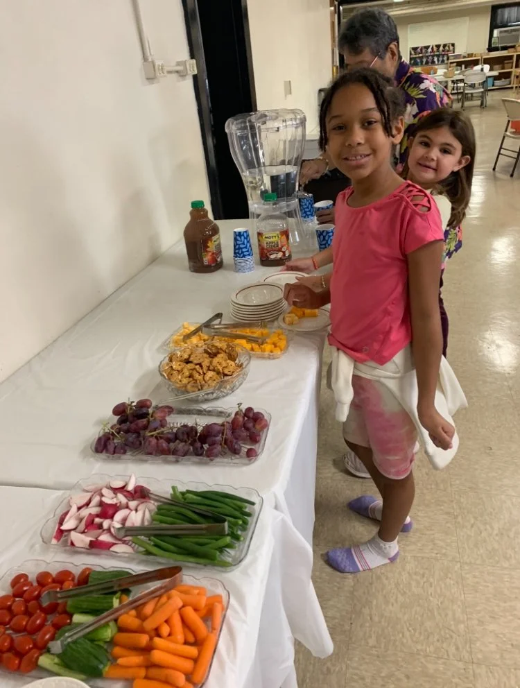 Maplewood United Methodist Church - Summer Associate VISTA