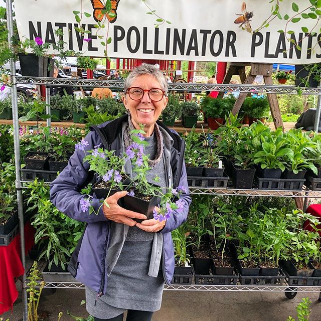 Happy Saturday Asheville! ⛰ It&rsquo;s the second and final day of the @growing.in.the.mountains plant sale! Come join us! 🌱 We&rsquo;ll be here 9-5PM, rain or shine (though the forecast calls for all shine!), at the WNC Farmers Market ☀️ .
.
📸Pict