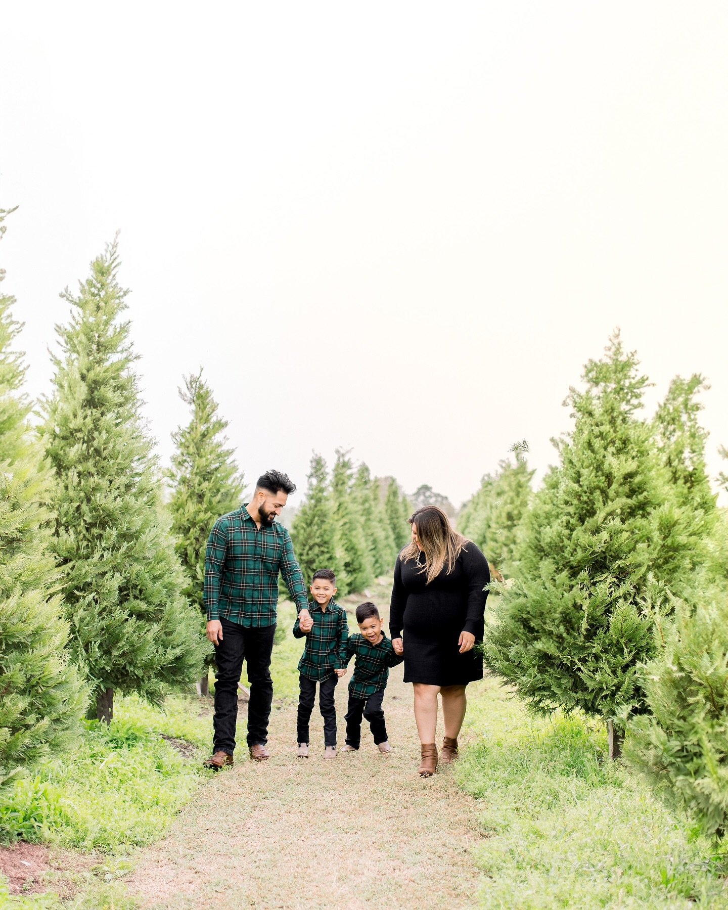 This tree farm mini session 😍🌲