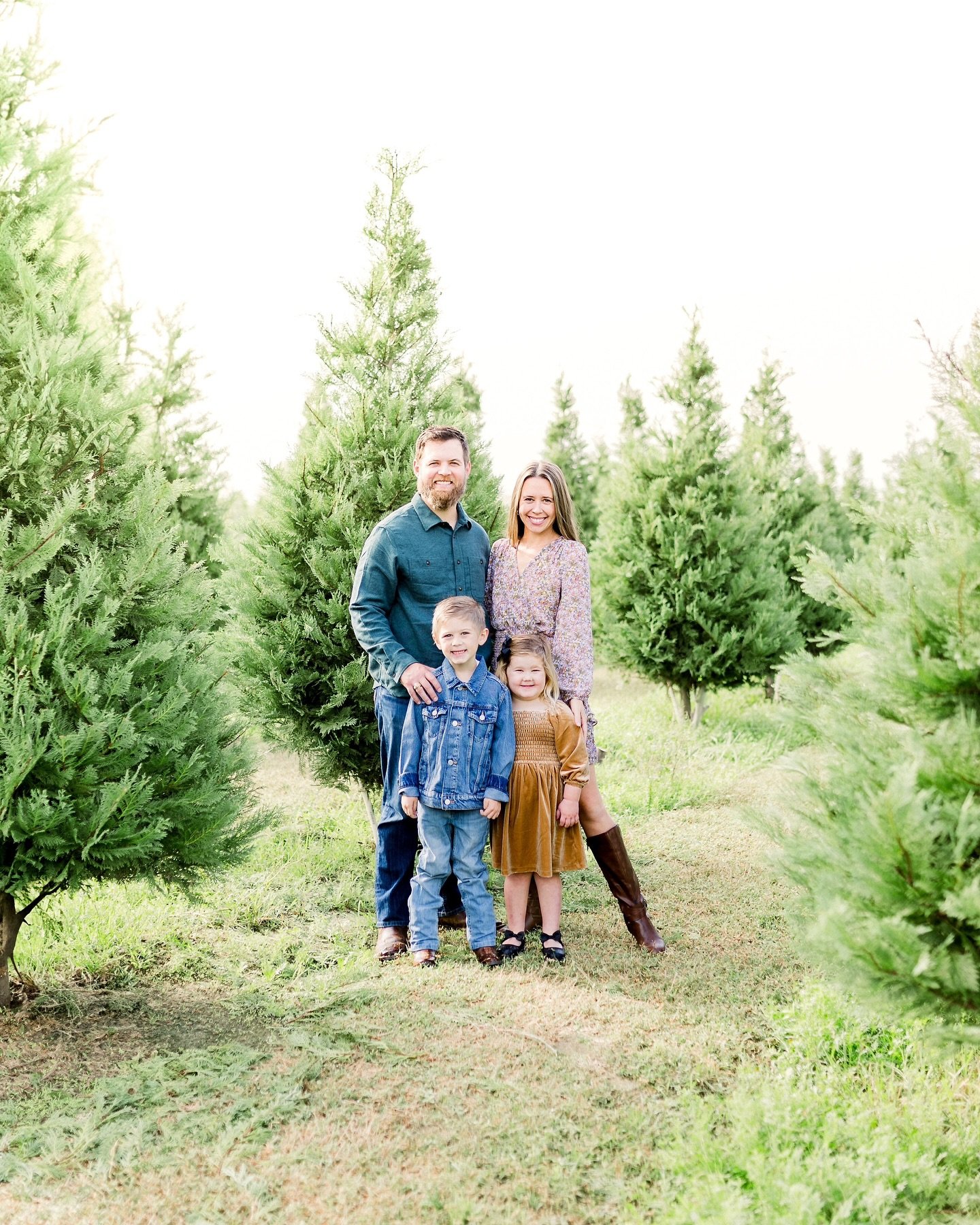 Another sweet tree farm gallery sent out! 🌲