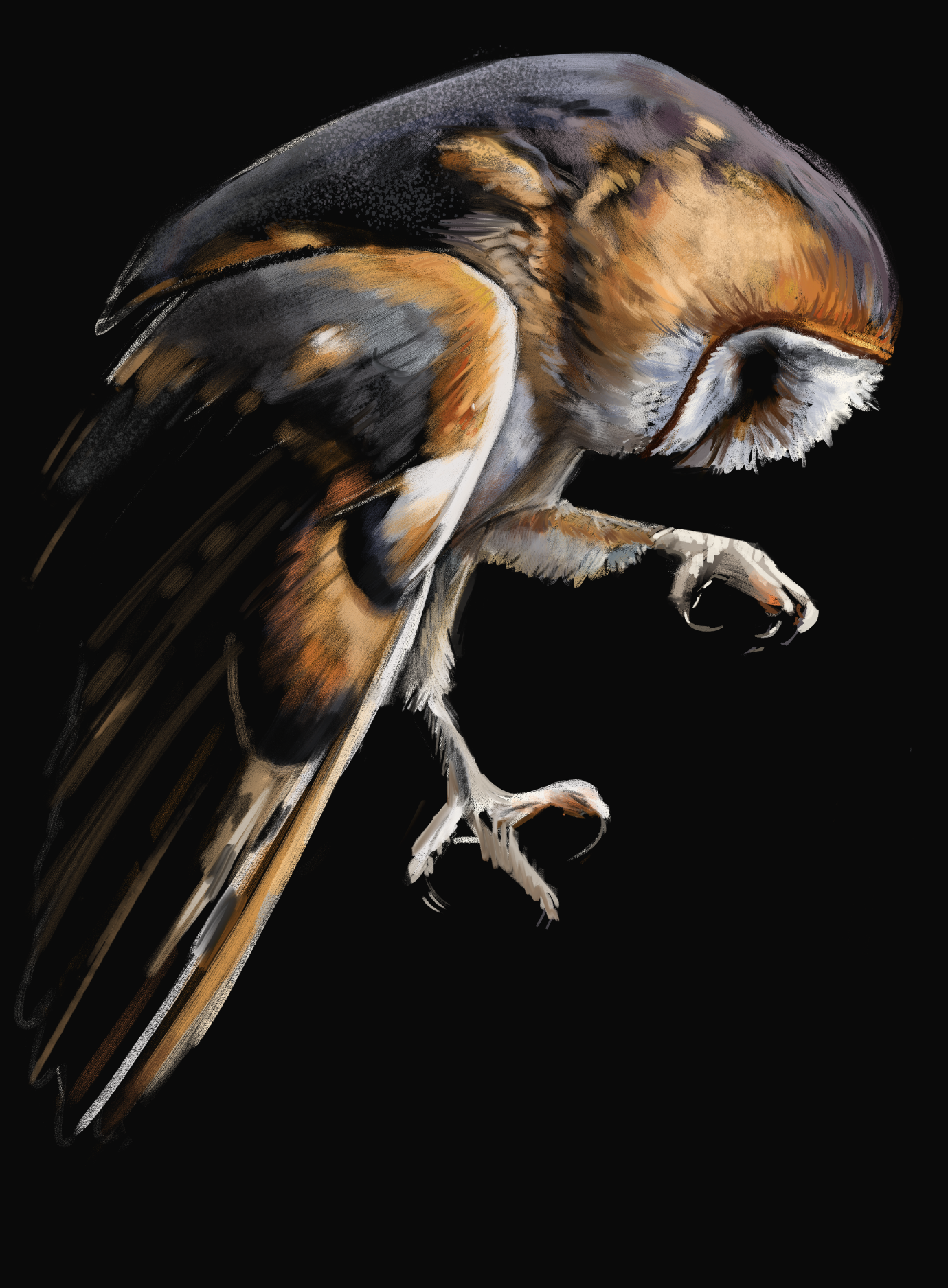 Screenshot 2026-01-30 at 5.03.00 PM.png