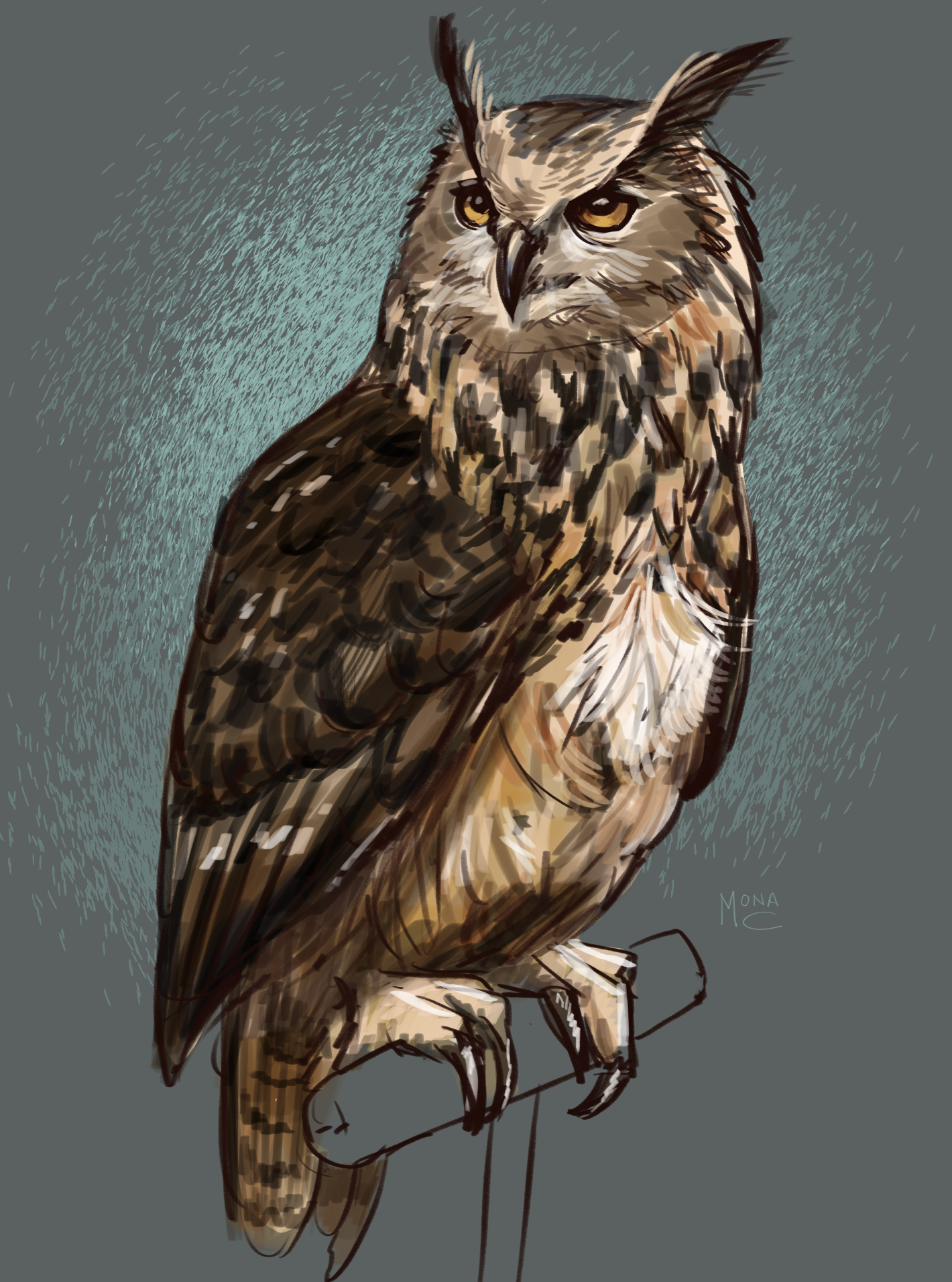 Screenshot 2026-01-30 at 4.59.10 PM.png