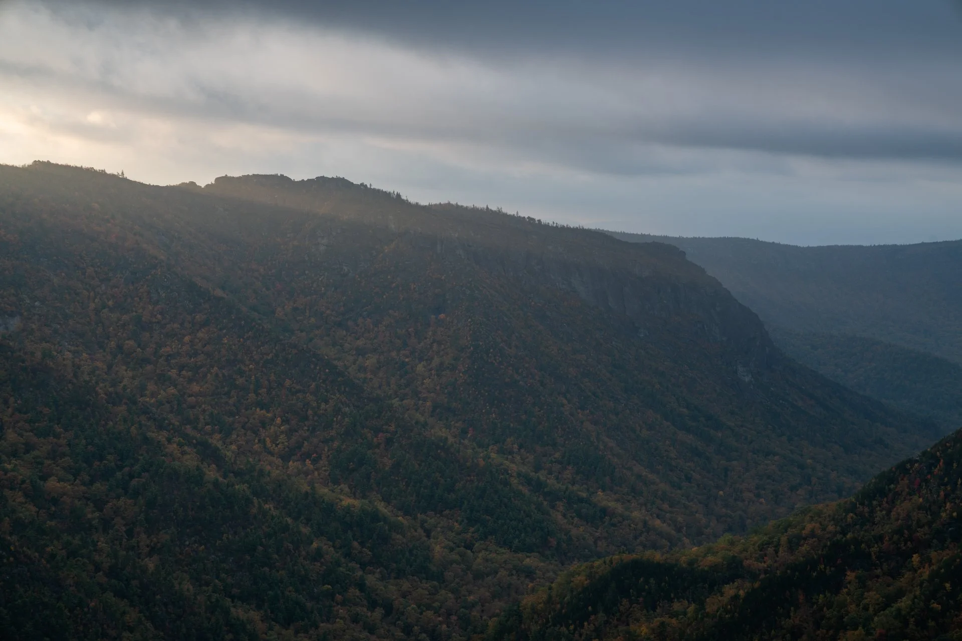 Homepage Photo-4.jpg