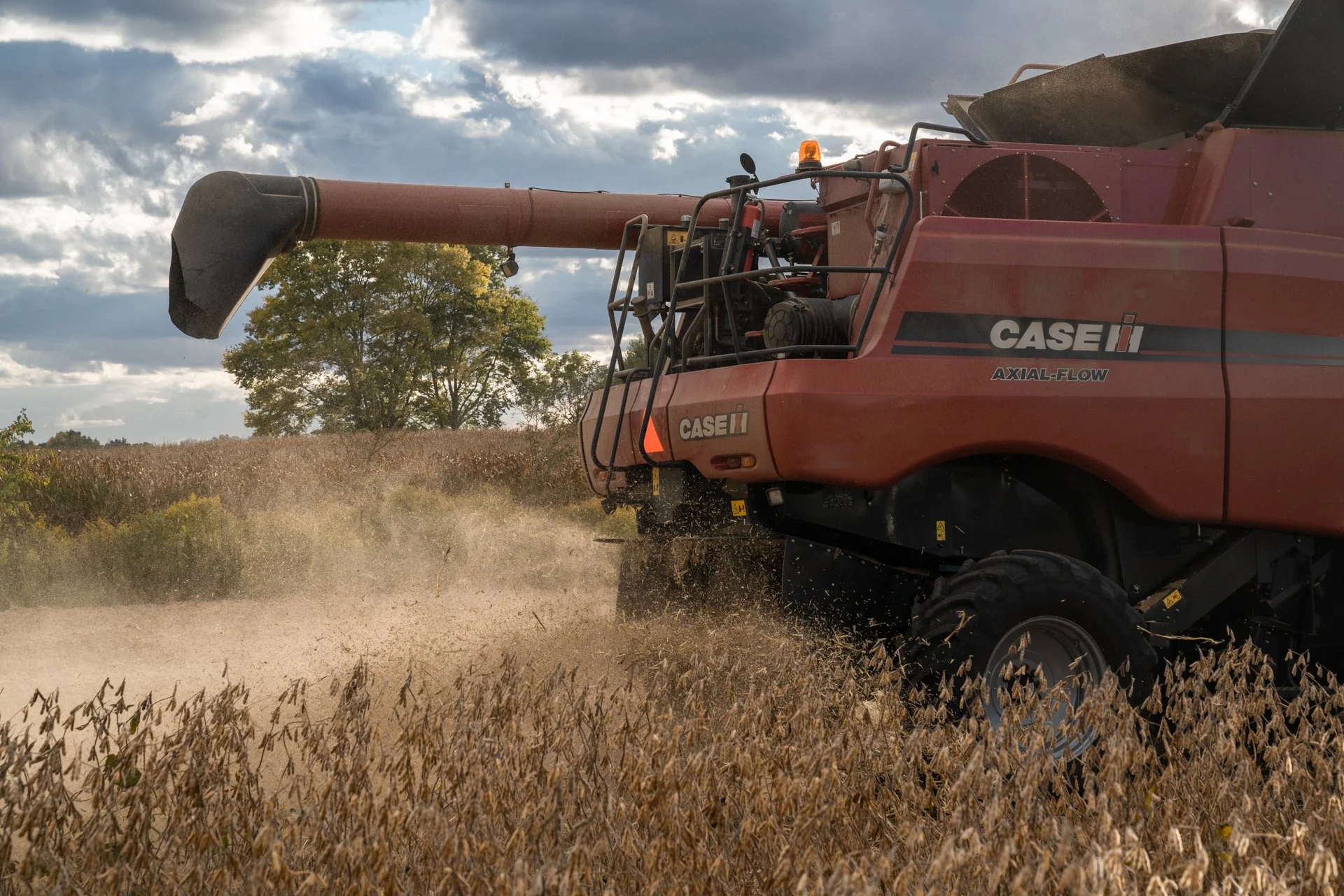 Fall Harvest-8.jpg