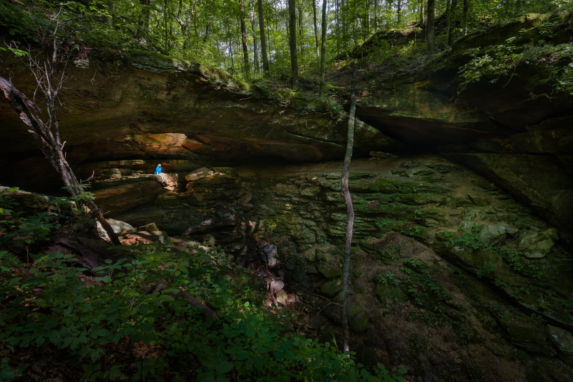 Homepage Photo-5.jpg