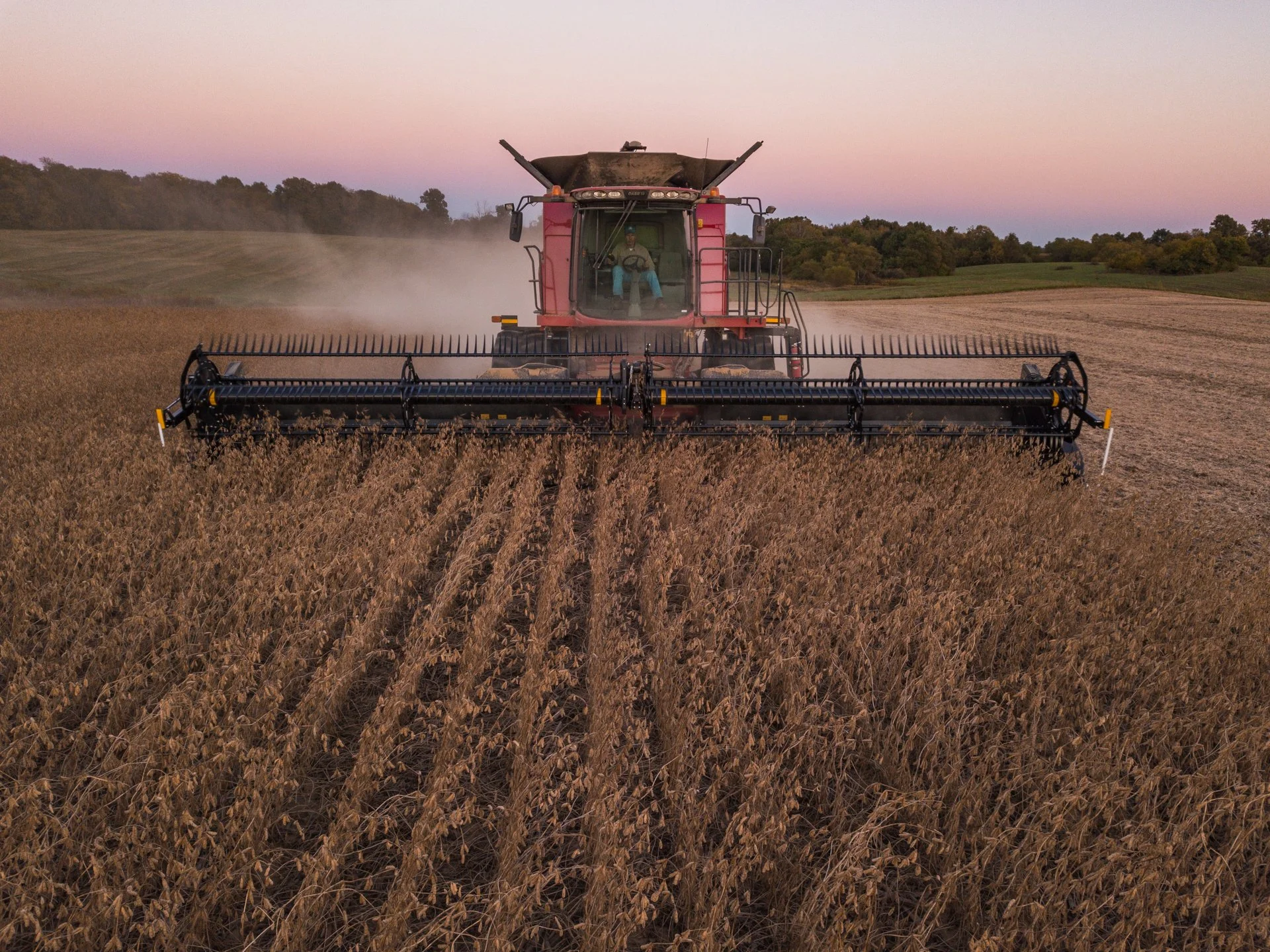 Homepage Photo-21.jpg