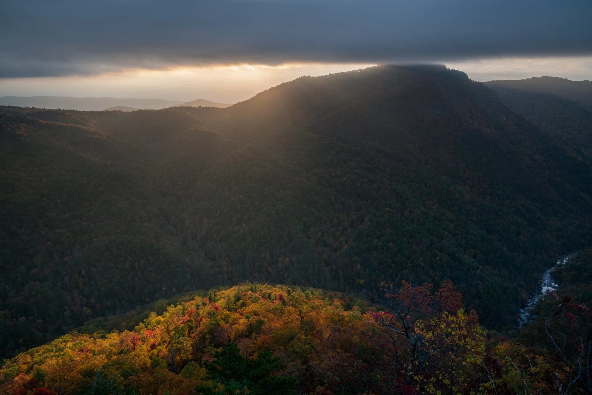 Homepage Photo-3.jpg