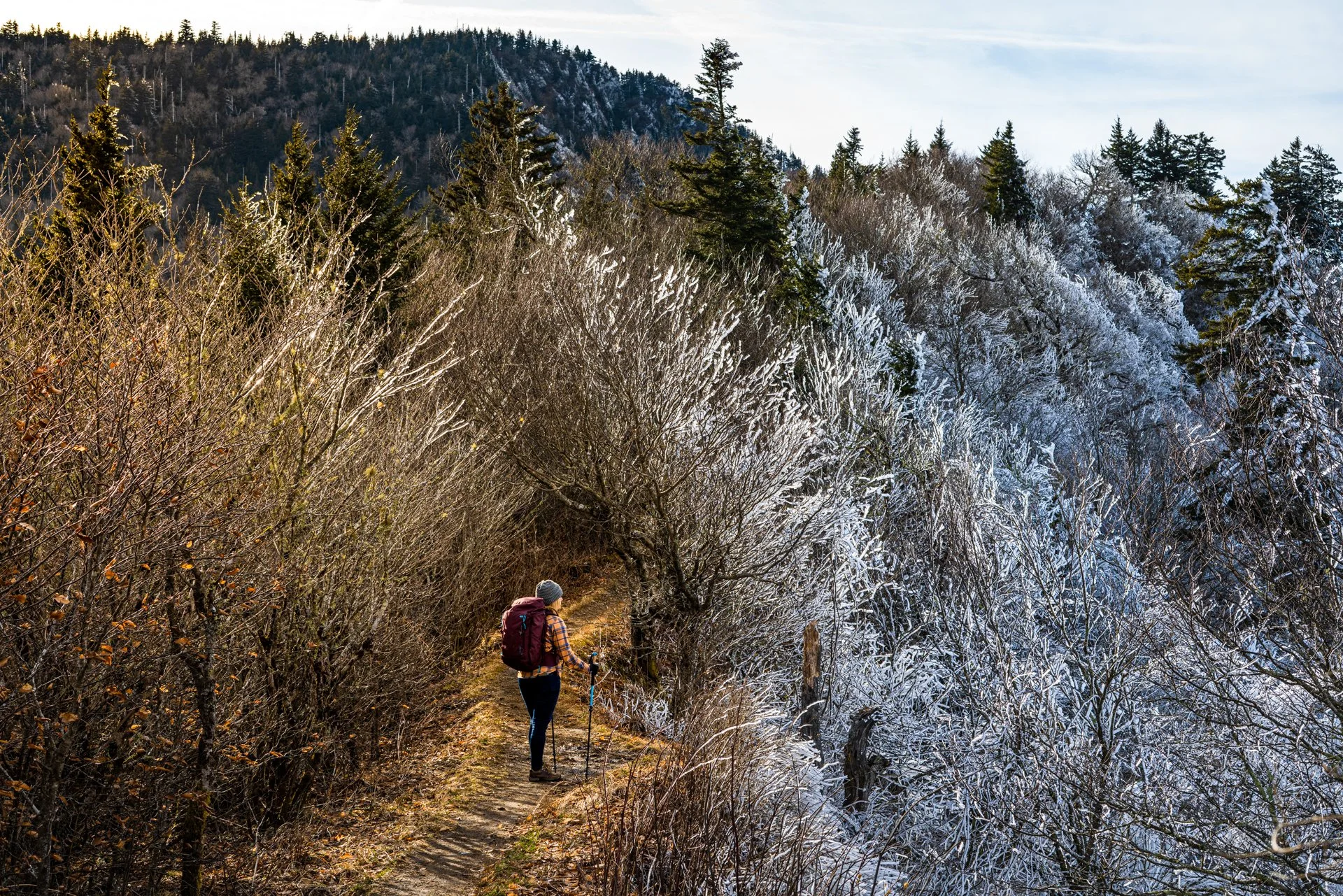 Homepage Photo-1.jpg