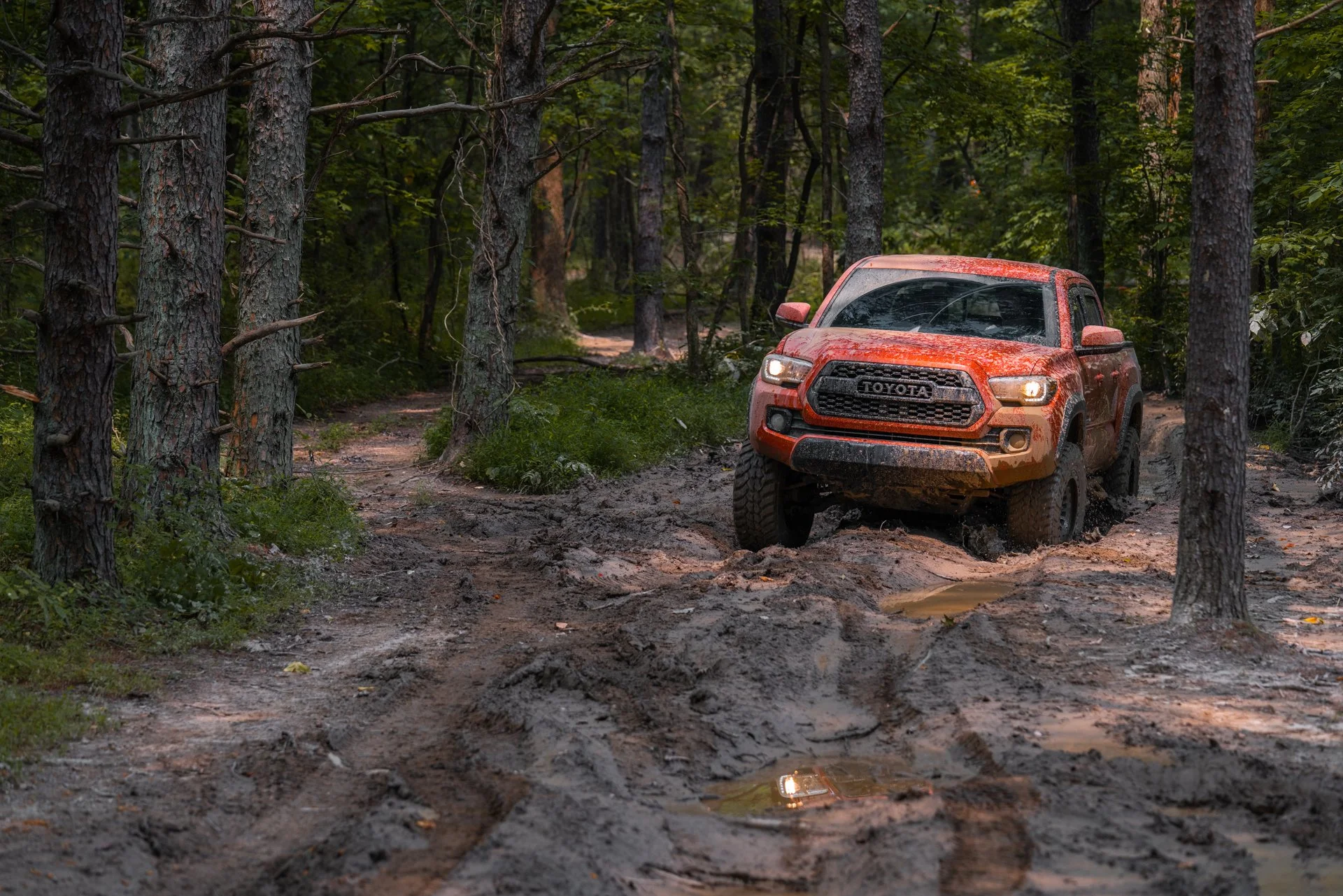 Homepage Photo-10.jpg