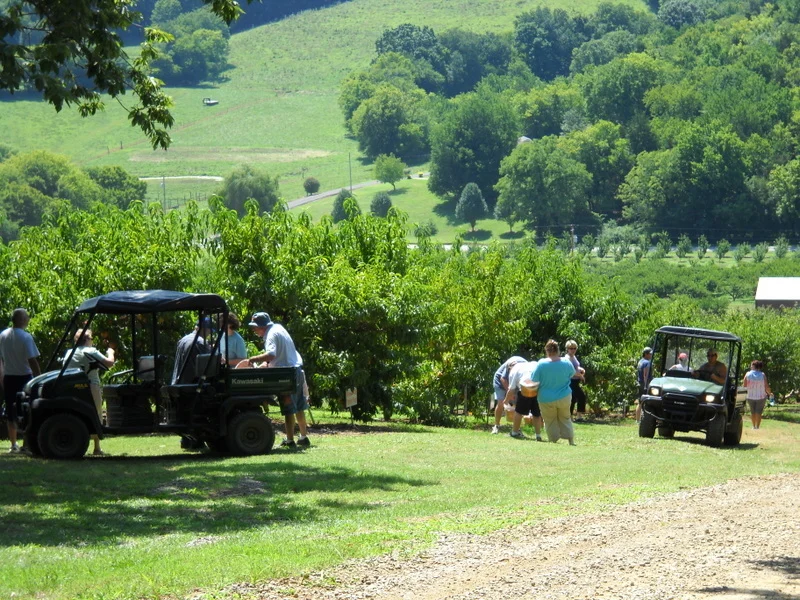 1-DSCN0065.jpg