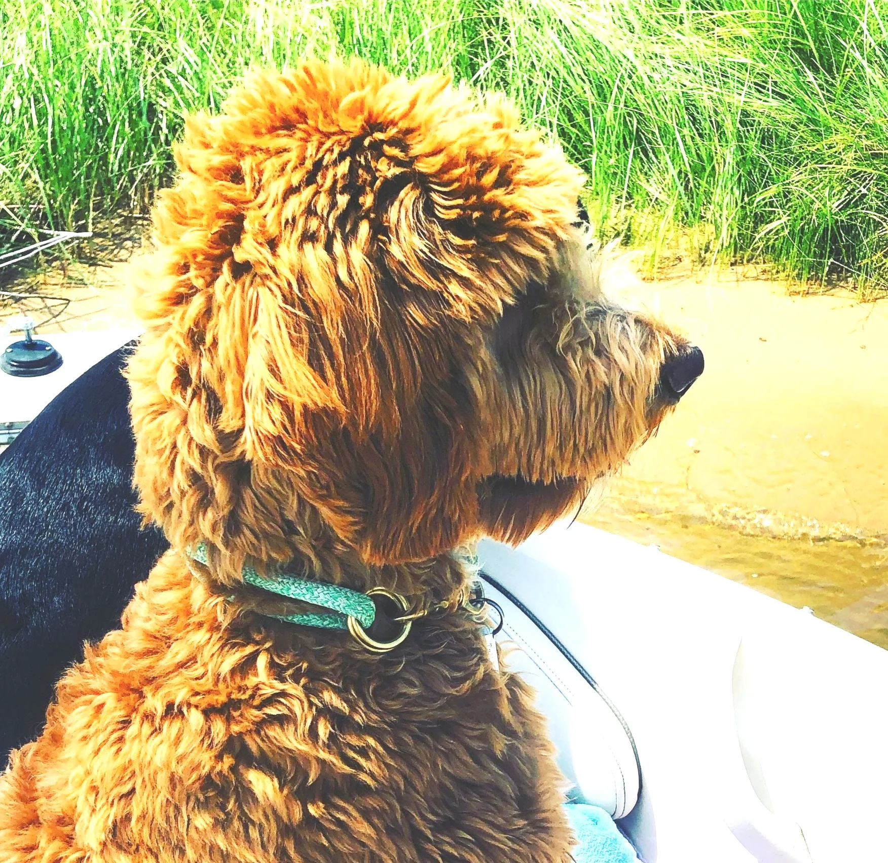 F69B14C9-19AC-44C8-91B8-A6F08A2E68E7 (1).JPG