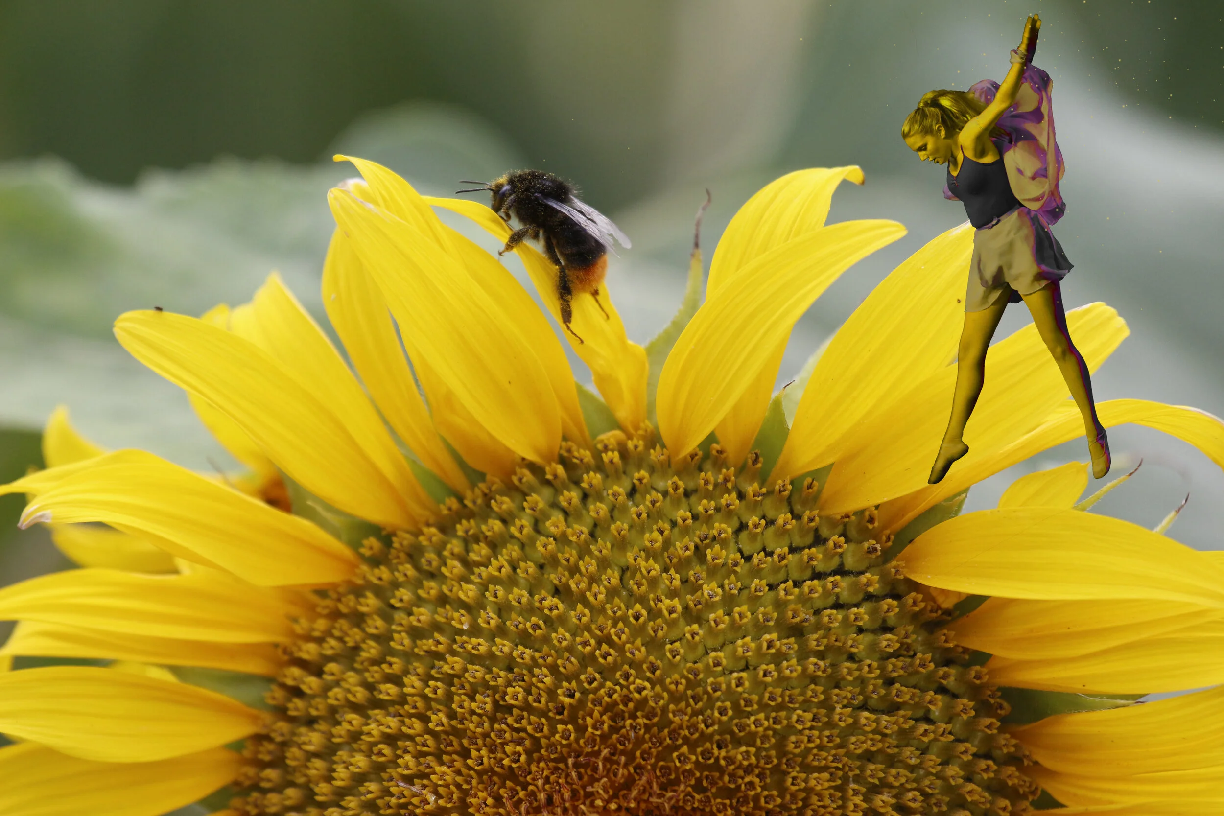 Bee dancers 1.jpg