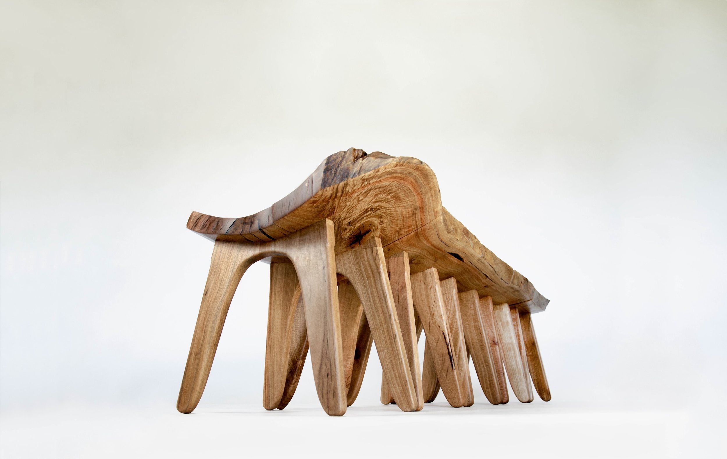 ESTwormseye copy.jpeg