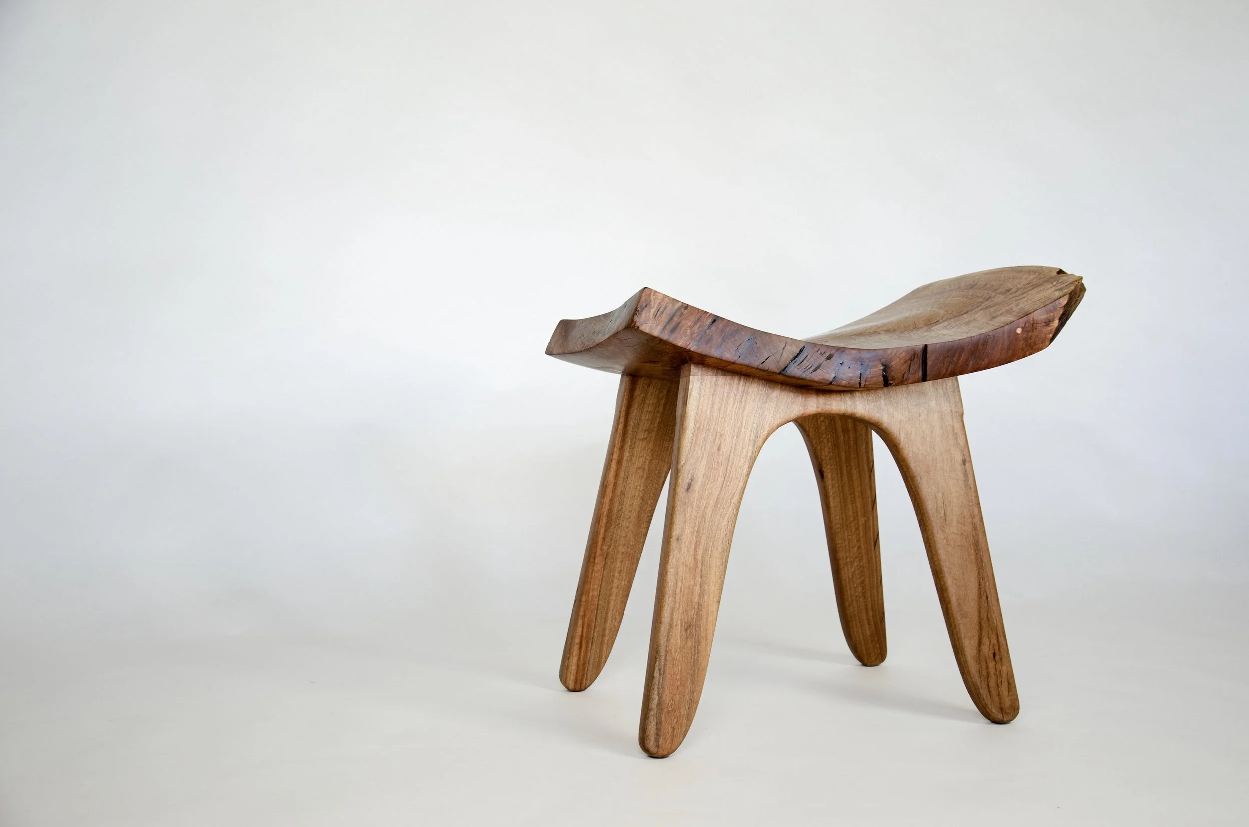 ESThero3:4 copy.jpeg