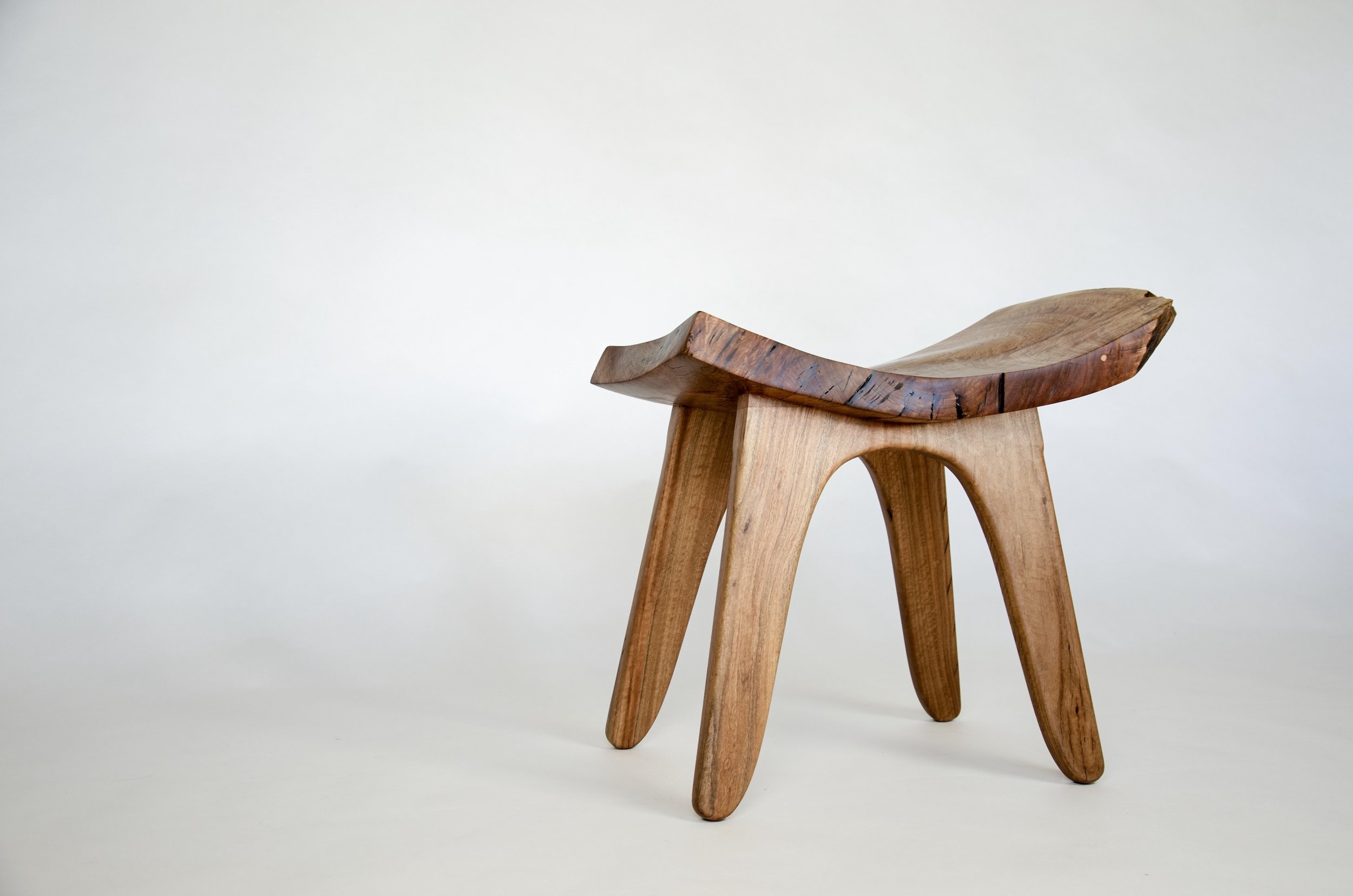 ESThero3:4 copy.jpeg